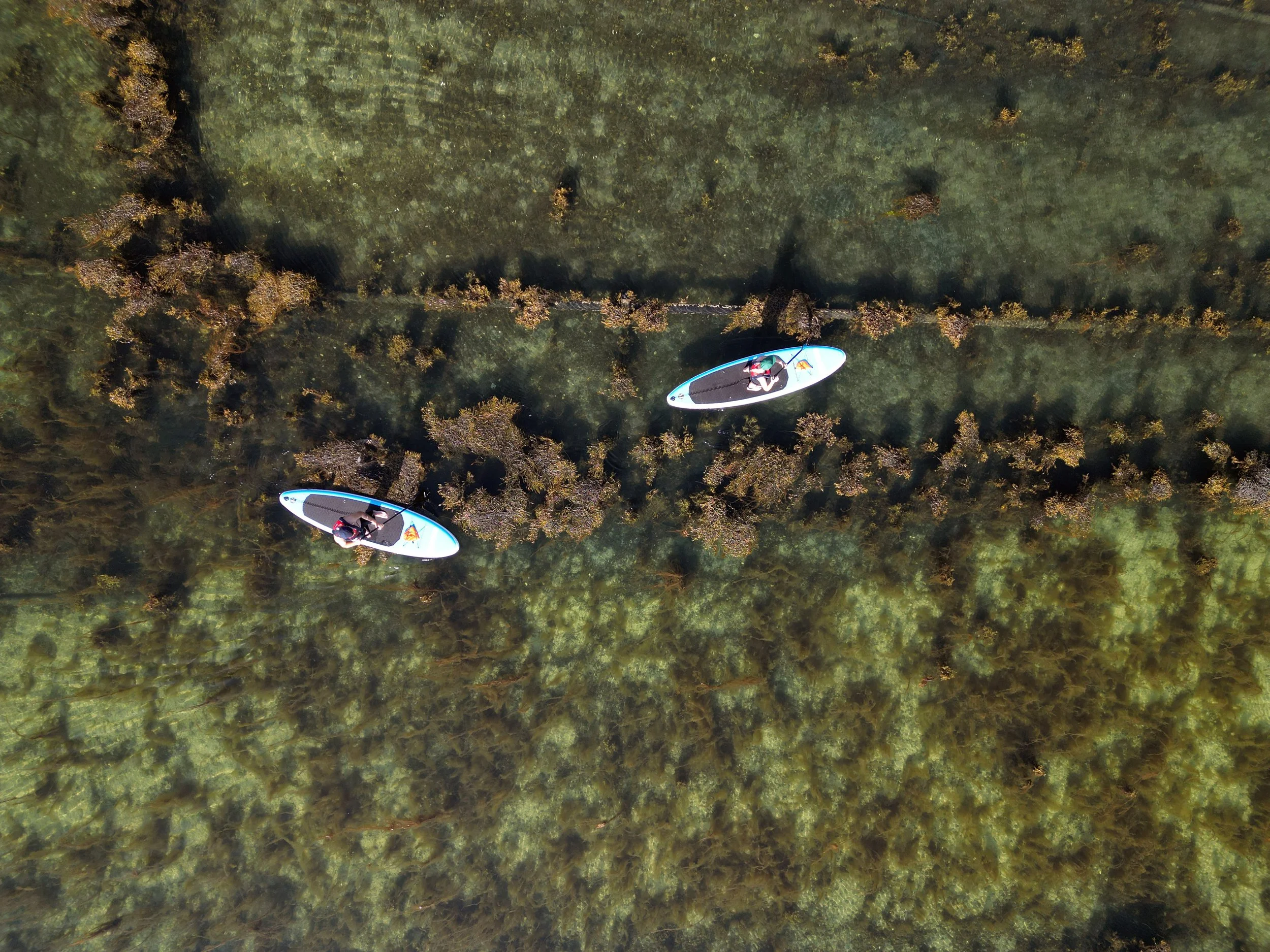 DJI_0200.jpg