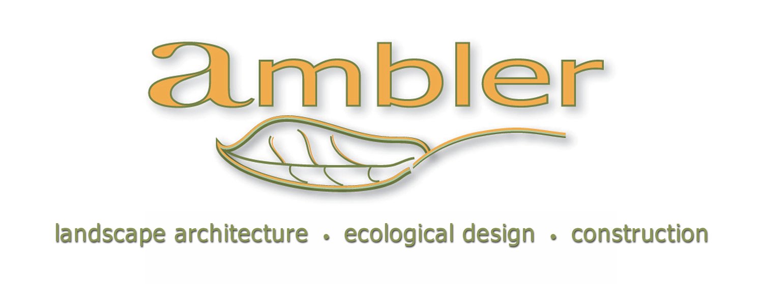 Ambler Design