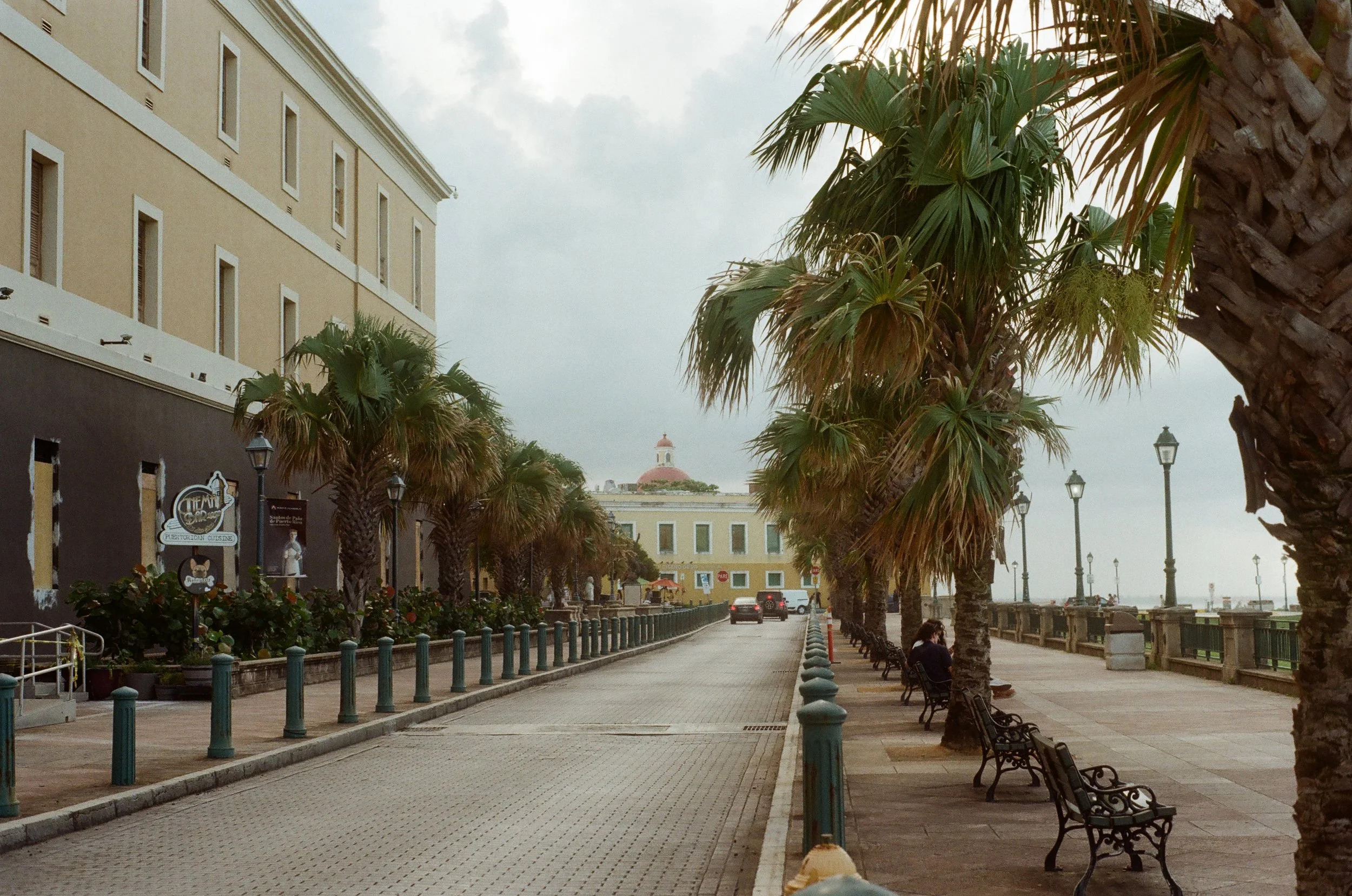 Scenic street in Old San Juan, Puerto Rico, with palm trees, historic buildings, and a domed structure in the background.