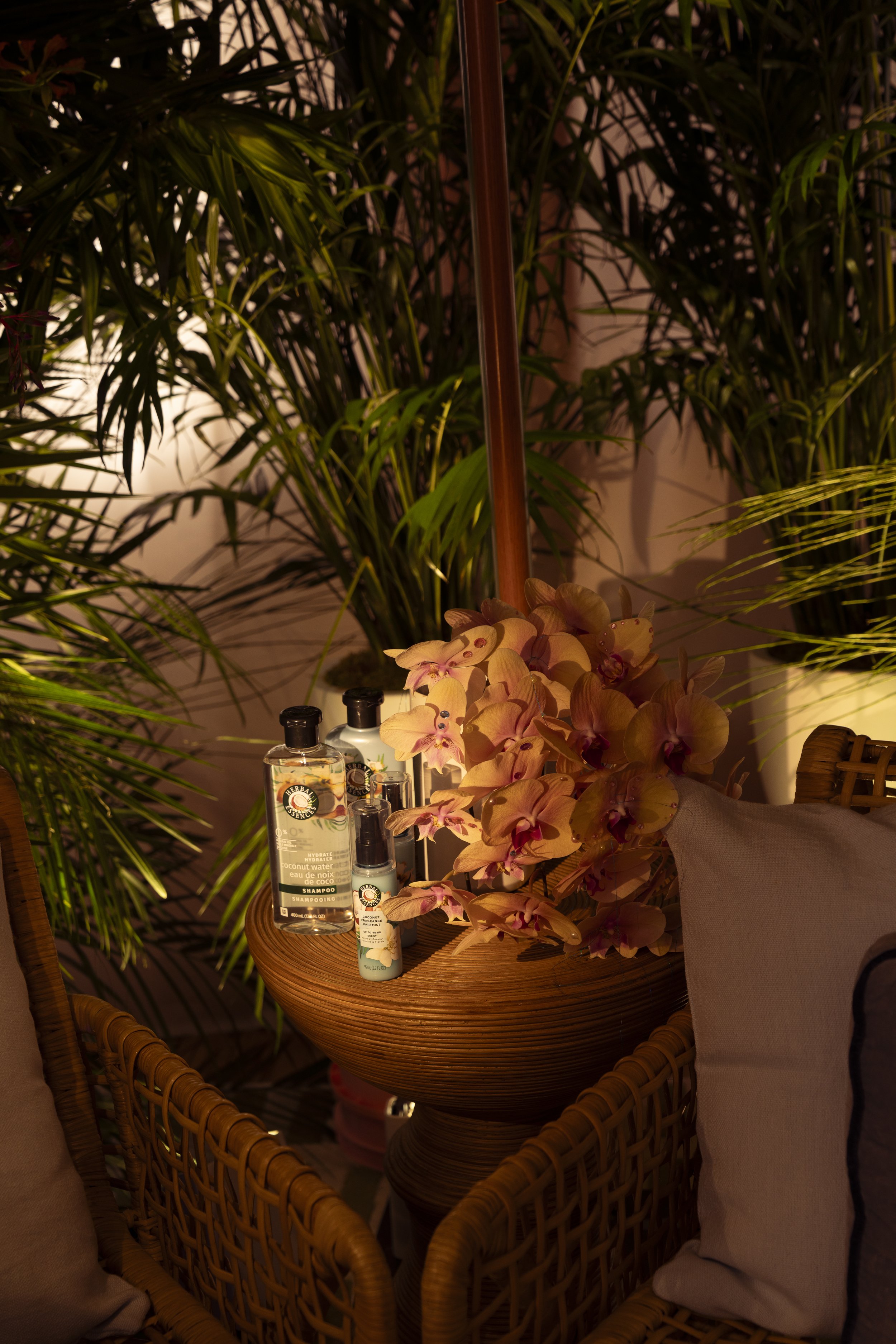 Press day for the launch of Amaya x Herbal Essences featuring Love Island Season 7 winner Amaya Espinal