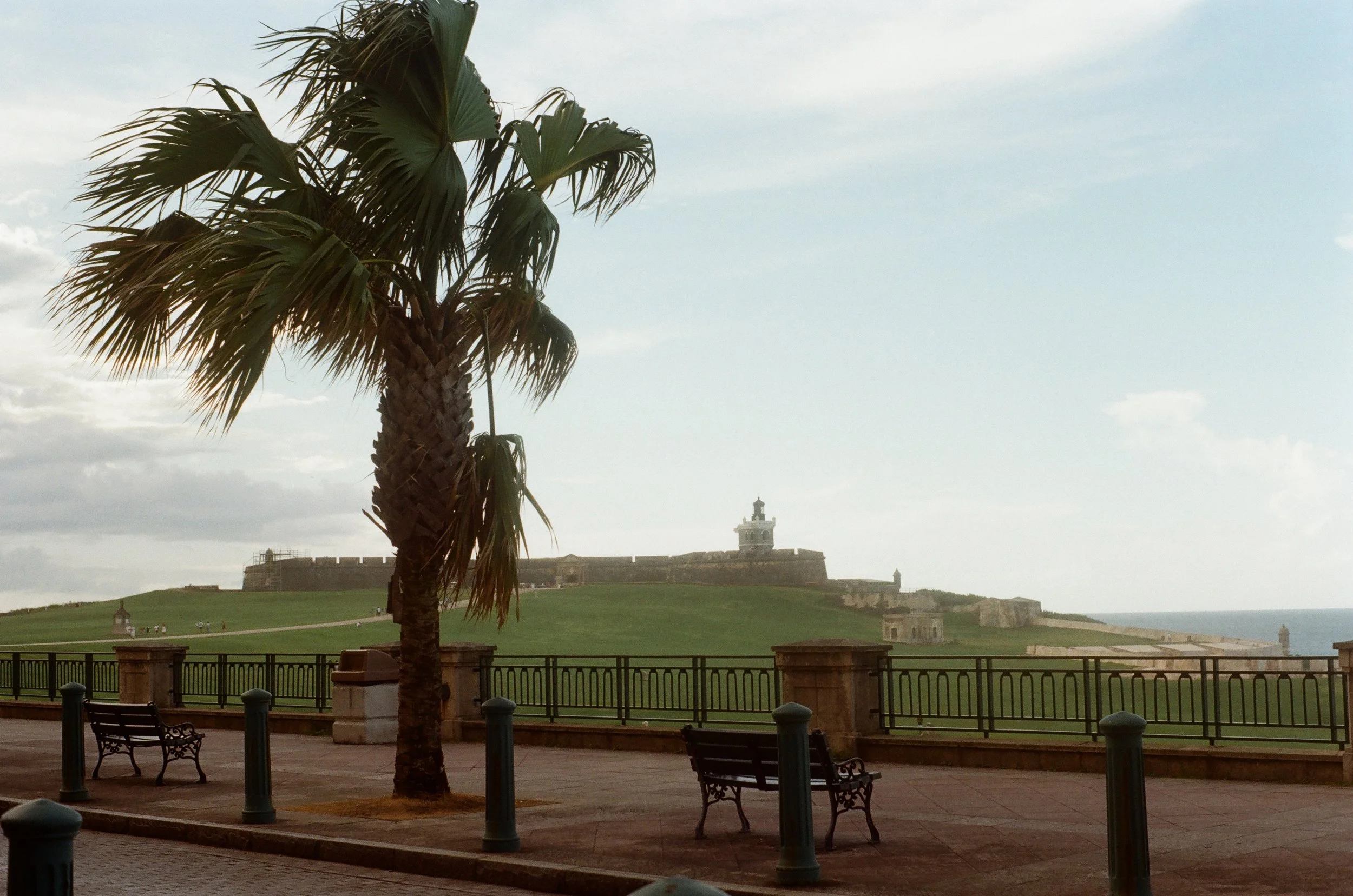 Palm tree and benches with historic fort and lighthouse in background near coastline, overcast sky.