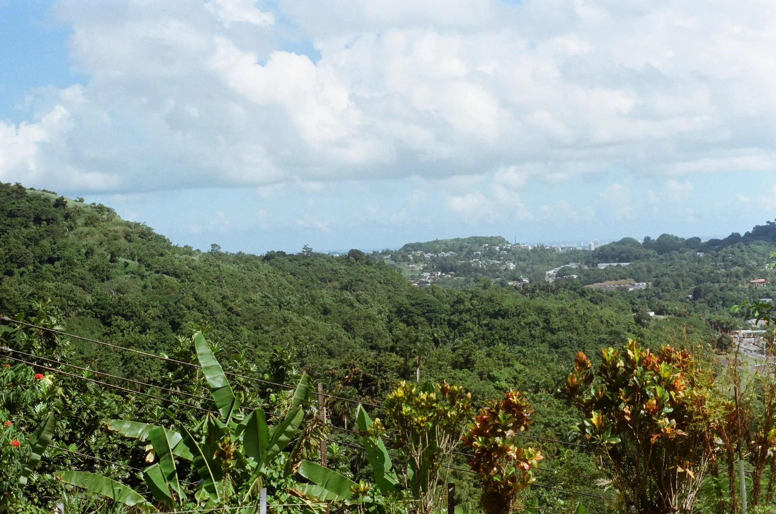 Lush tropical hills with various trees and plants, under a partly cloudy sky.
