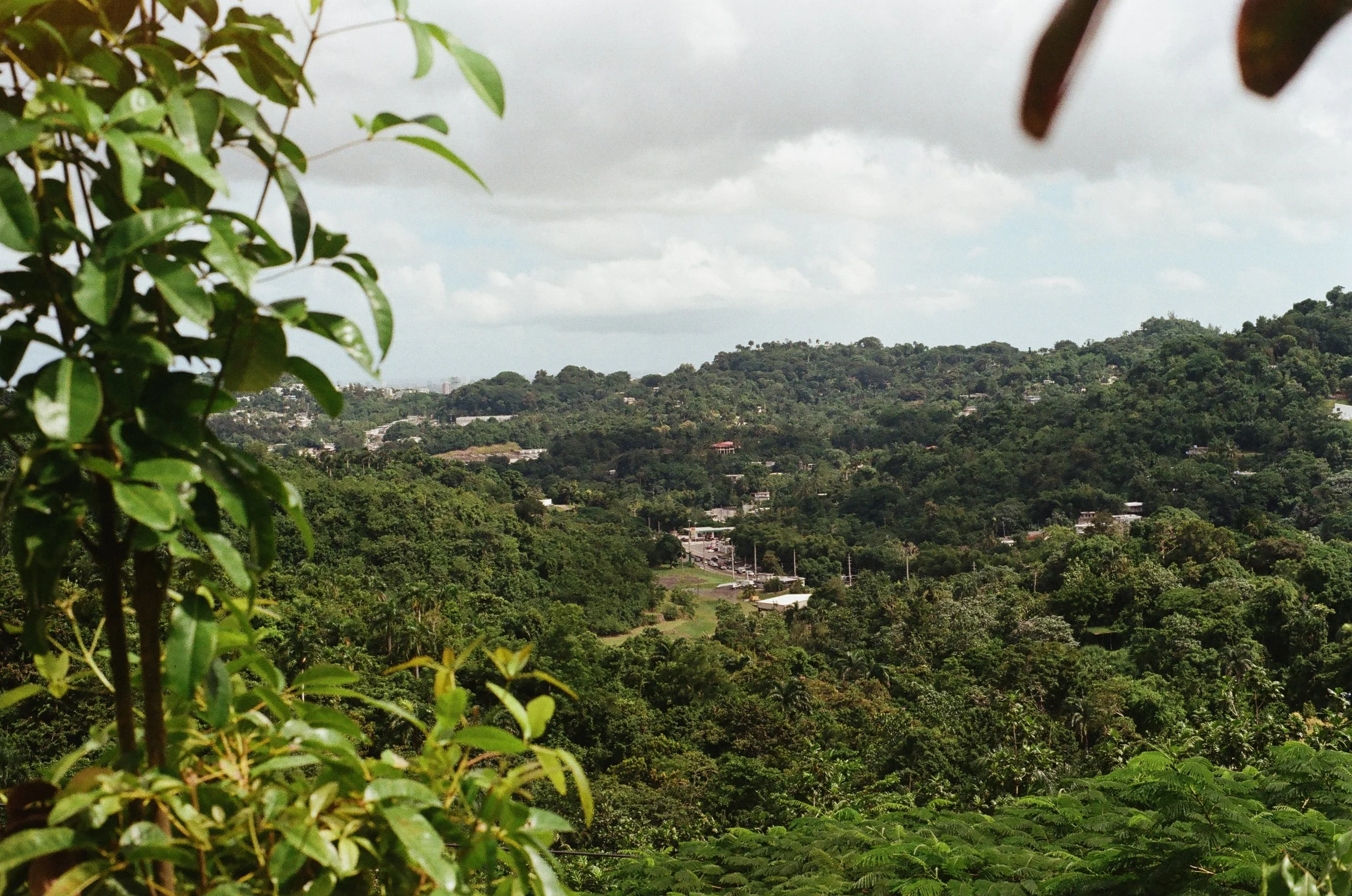 Lush green valley with dense forest, small buildings, and cloudy sky in the background.