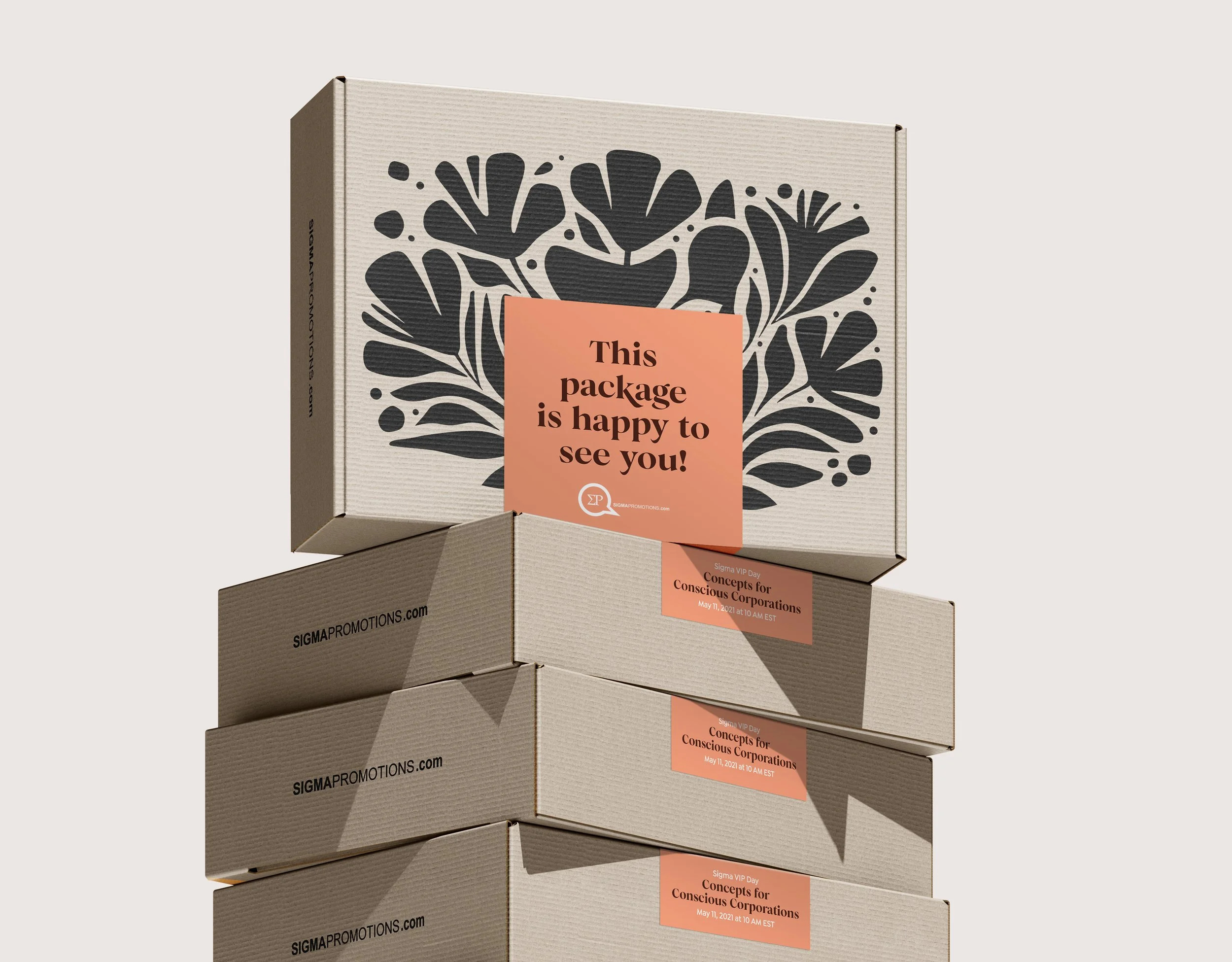 Virtual VIP Day Eco Shipping Box Design