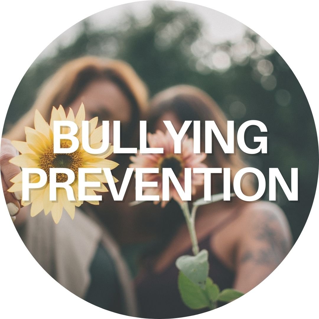 bullying prevention community program.jpg