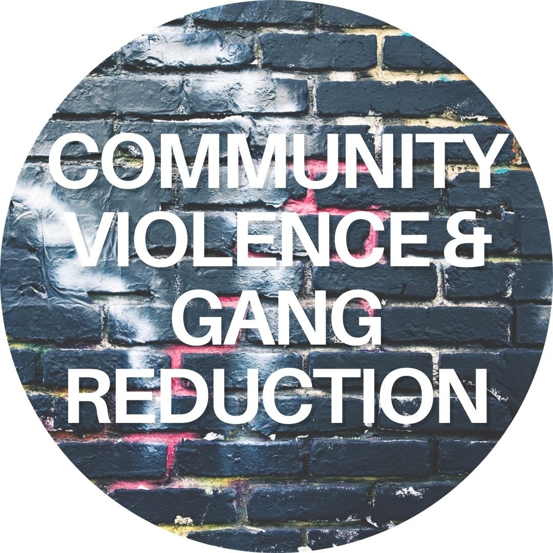 community violence and gang reduction community program.jpg