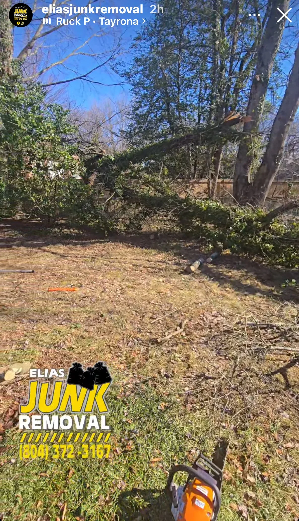 Yard debris removal by Elias Junk Removal in Richmond, VA