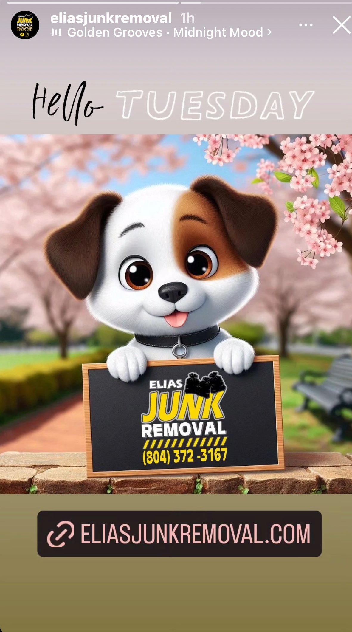Tuesday for Elias Junk Removal dog holding a sign