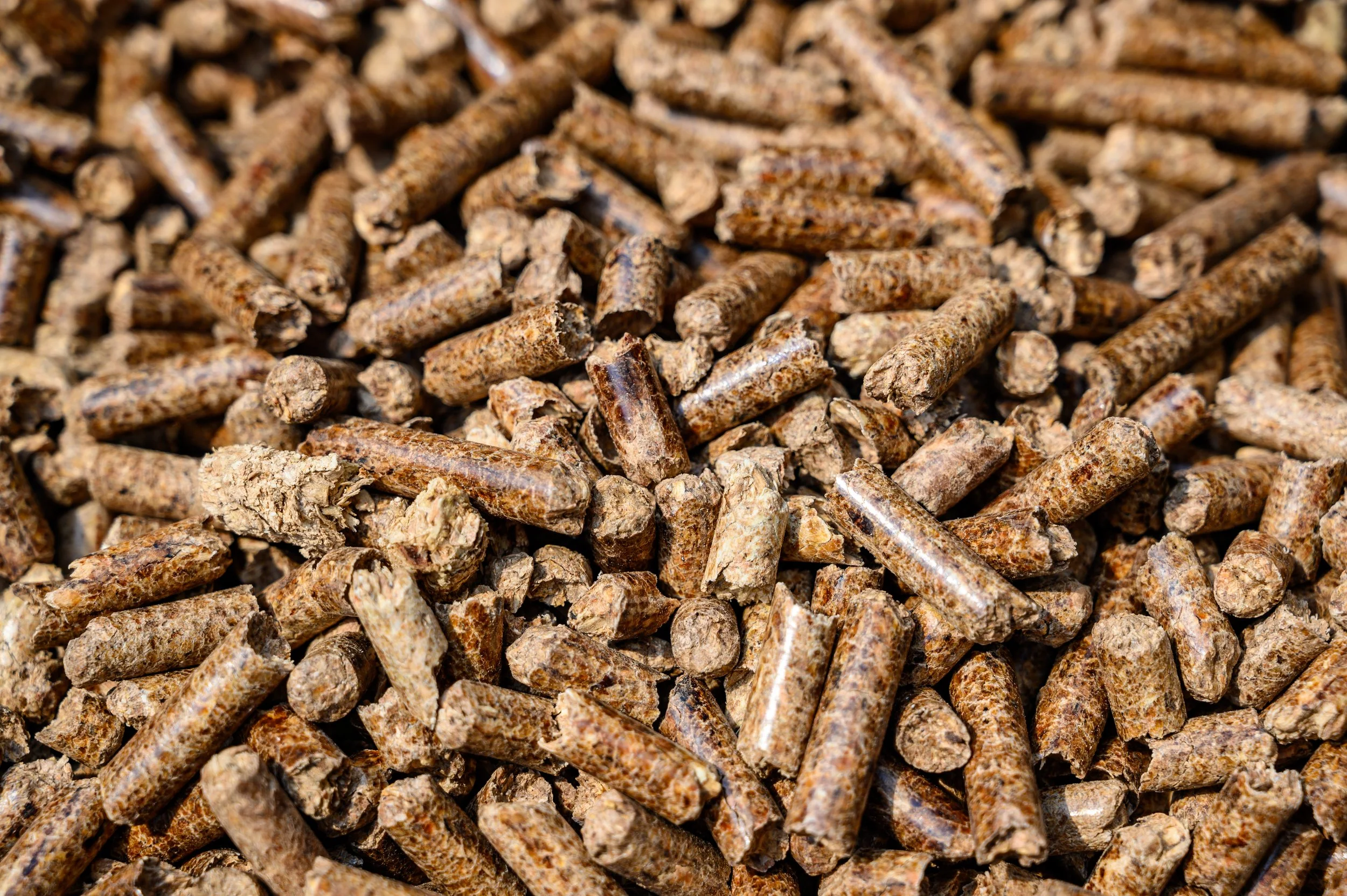Best pellet grill for beginners in Colorado 