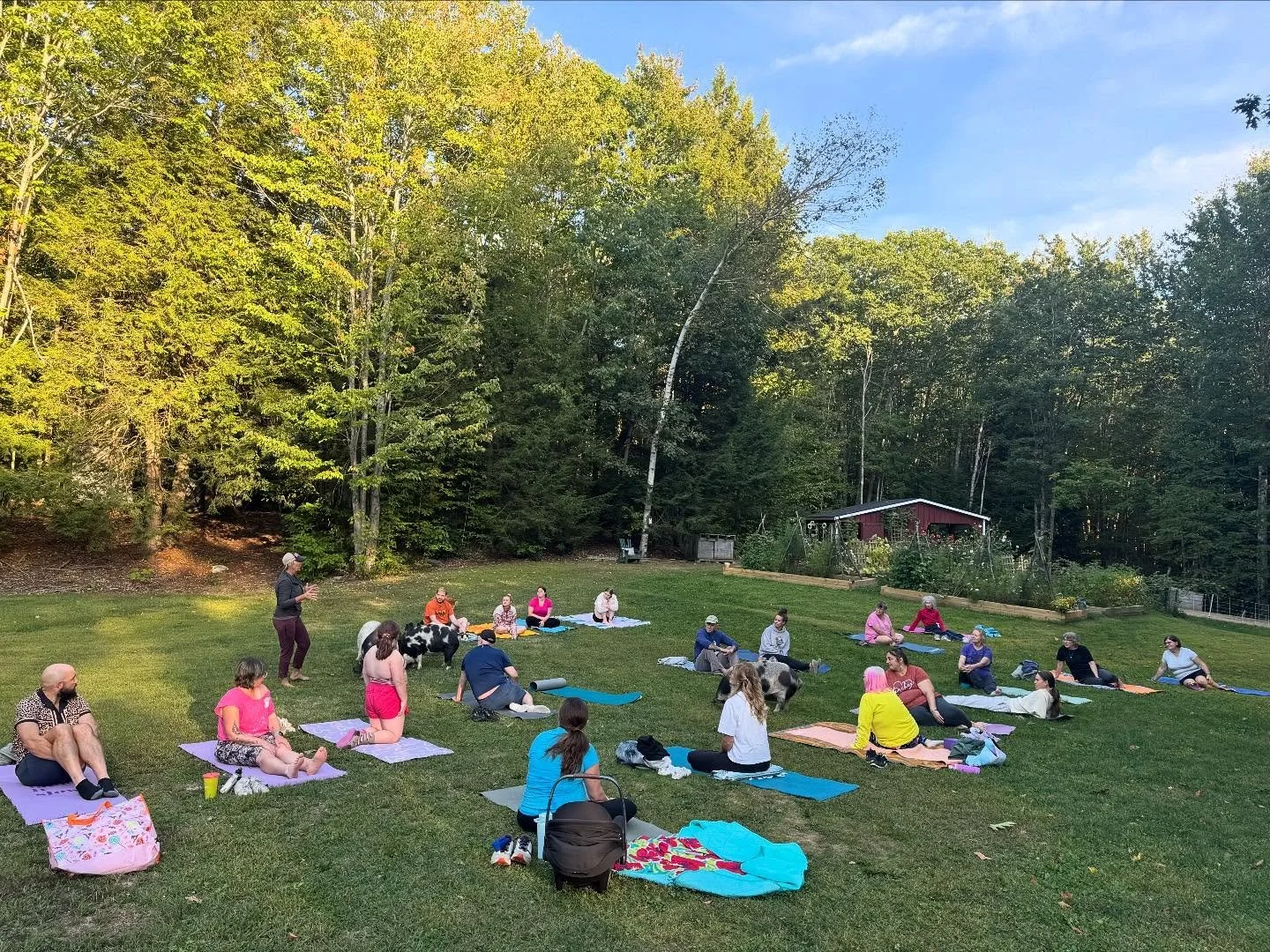 Another evening filled with friends &amp; community support. 

Thank you Jenny for sharing all about The Gathering Place &amp; thank you to everyone for your presence &amp; generous donations. #yogainme #graymaine #donationyoga #farmyoga #pigyoga