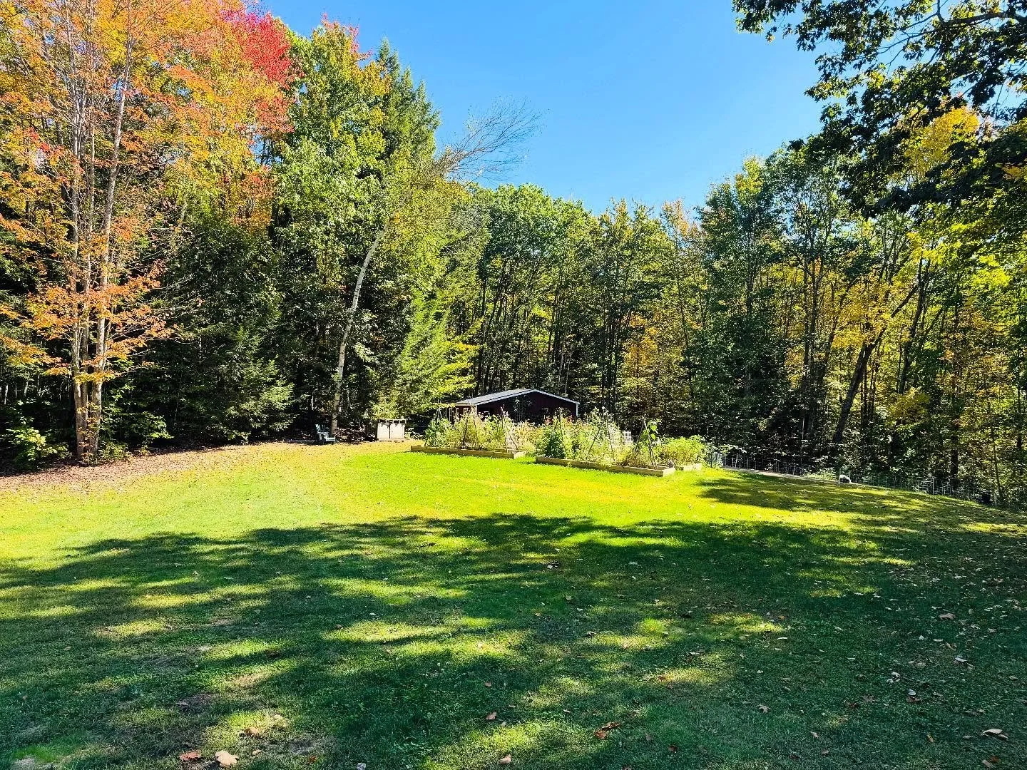 It&rsquo;s going to be a beautiful evening for our last donation class of 2025!

I hope to see you in the yard 🍁 🍂 🐽 🧘&zwj;♂️