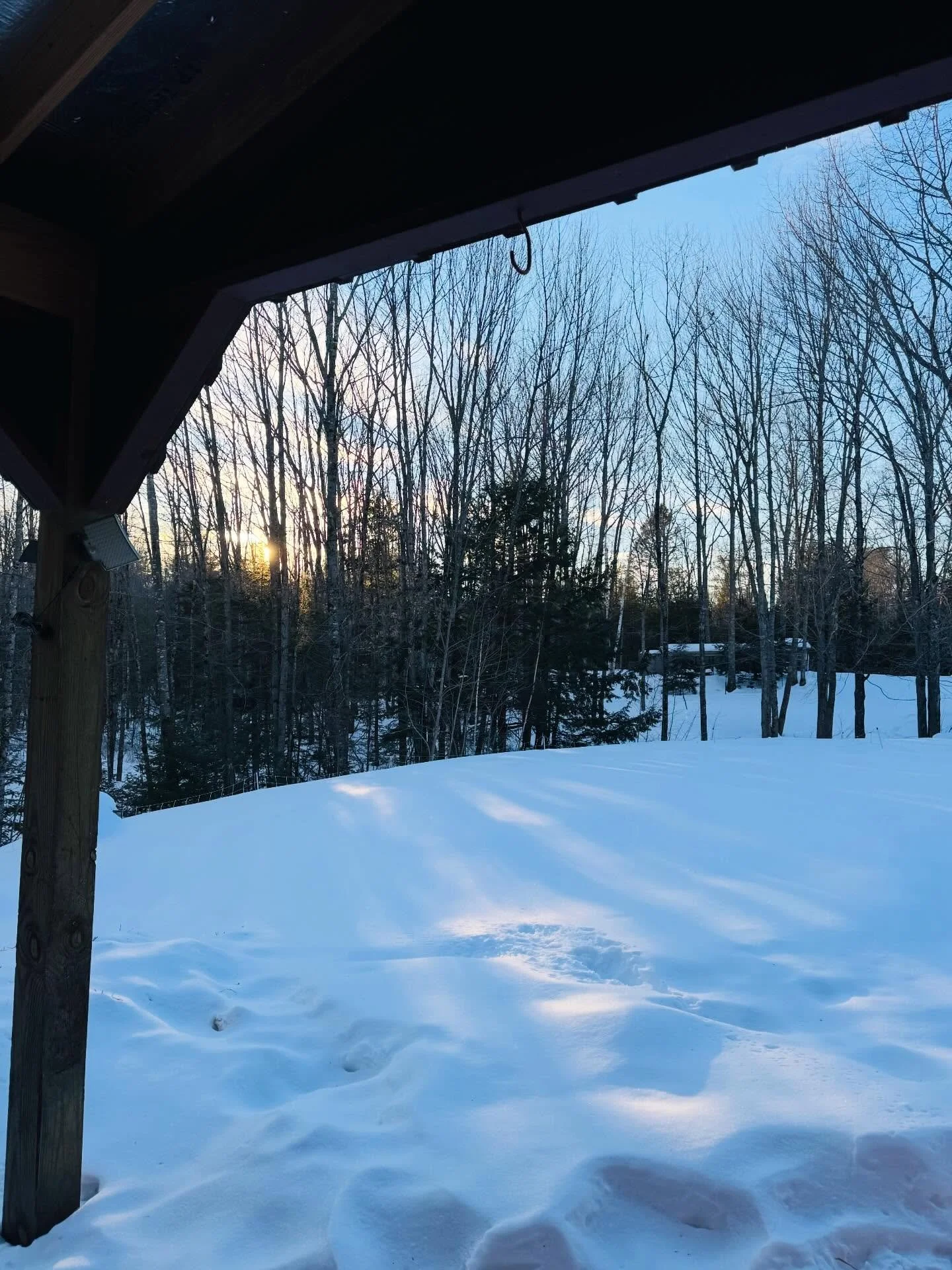 Above freezing temps make us all smile a little more 😊🐽&hearts;️