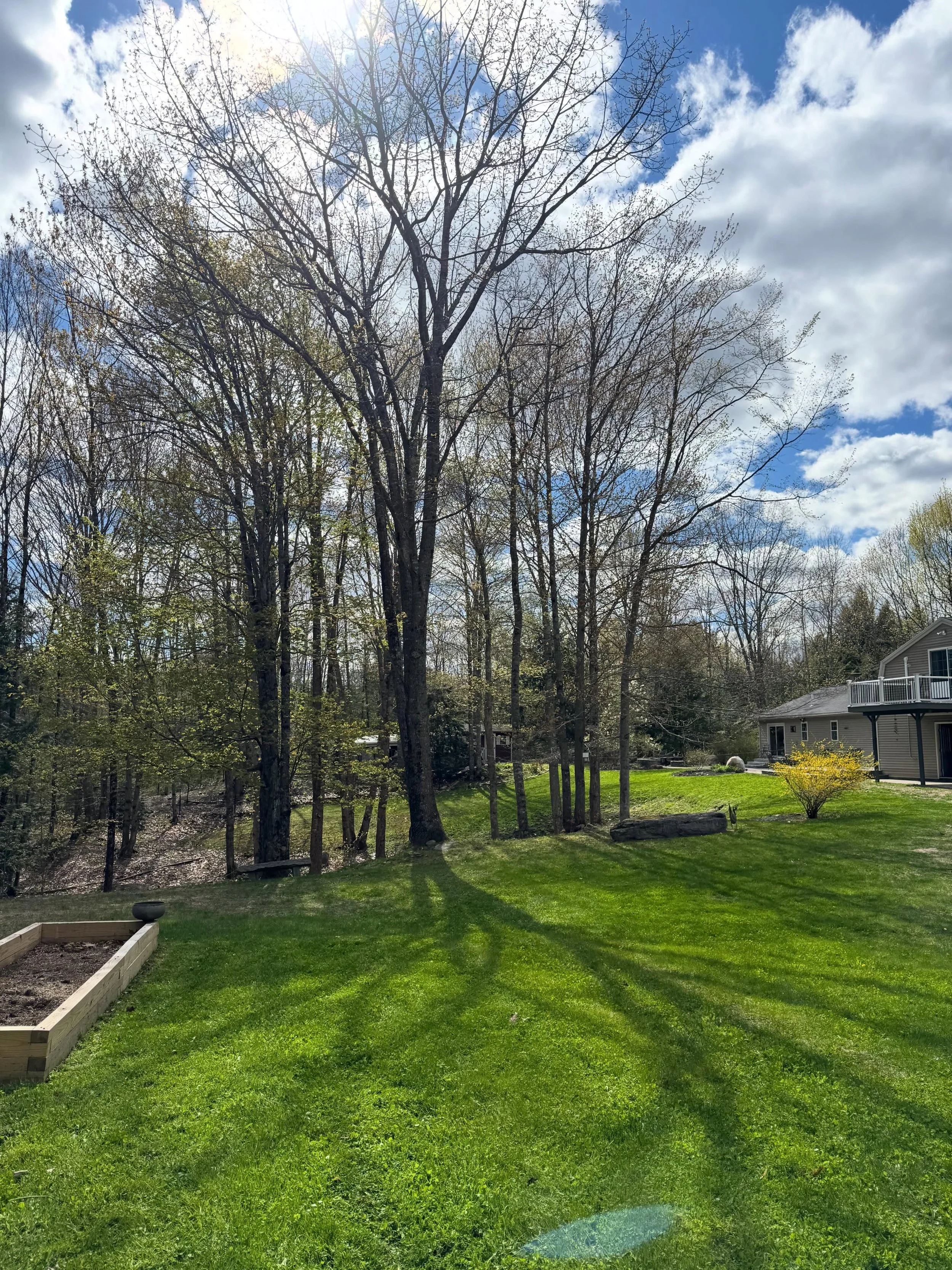 I can&rsquo;t wait to welcome you all back to this space 🐽❤️🧘&zwj;♂️

🌀Check out the link in my bio for more🌀  #yoga #farmyoga #graymaine #maine #yogainmaine