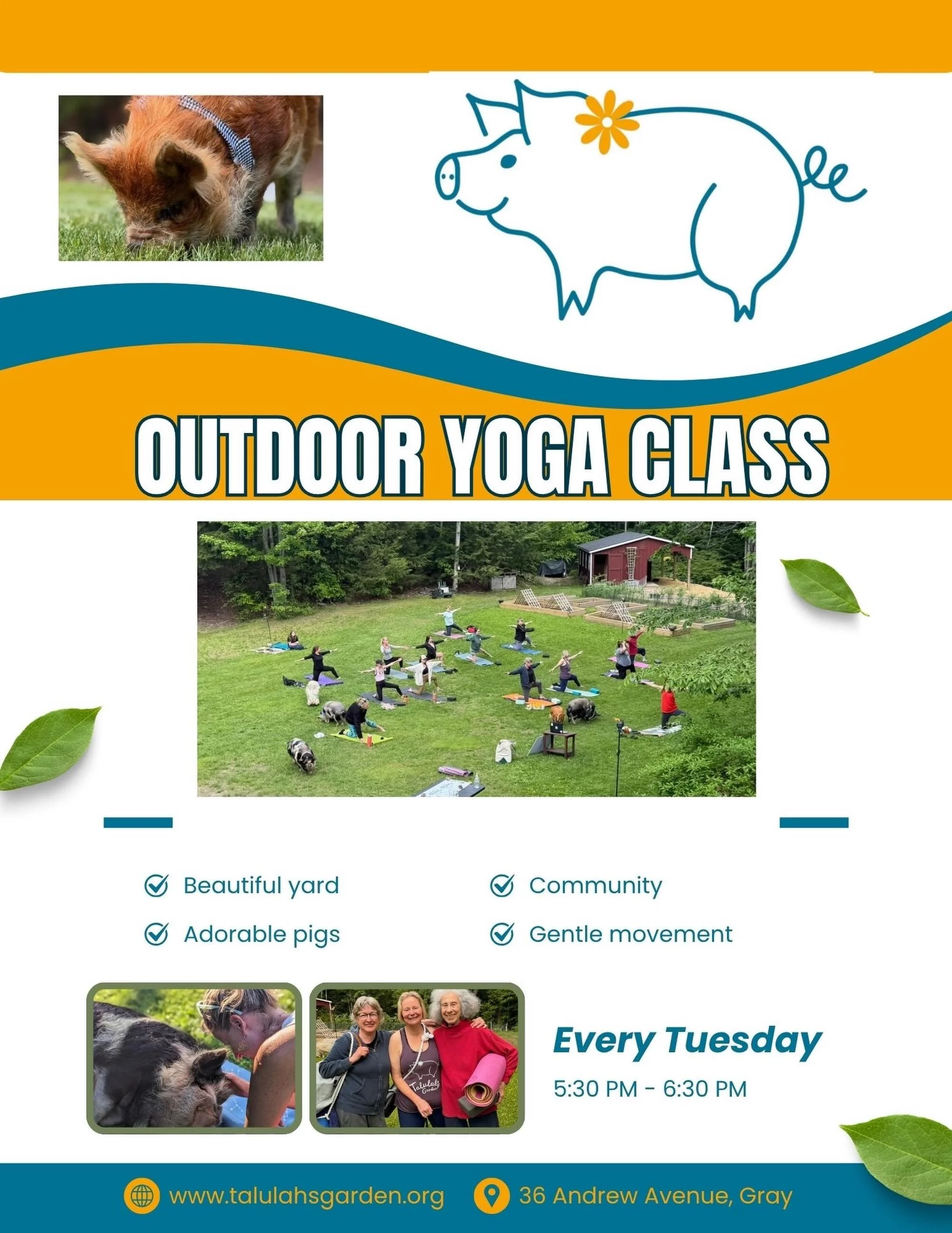 Looking for a sense of community? A place to move gently &amp; develop your personal practice? You found it!! Join us as a walk-in or register in advance 🐽🧘&zwj;♂️

I hope to see you in the yard!
#maineyoga #yogame #outdooryoga #graymaine #farmyoga