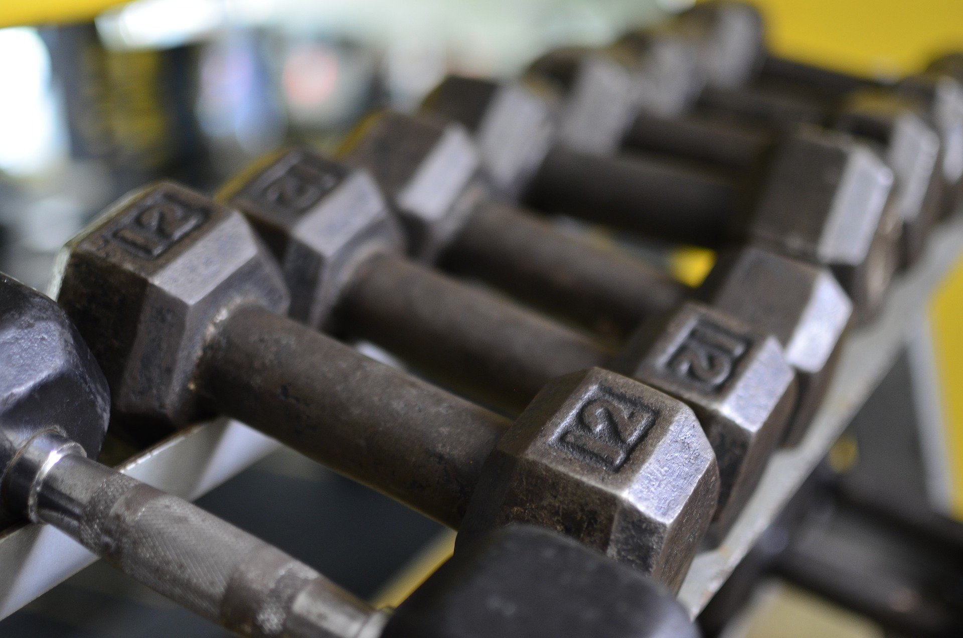 gym-5364403_1920.jpg