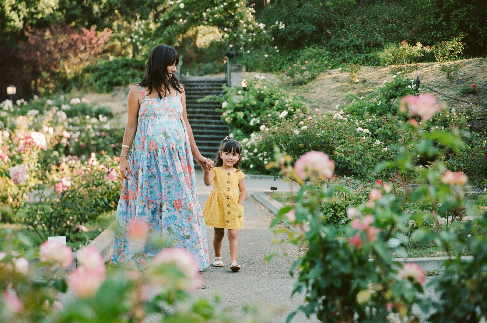 oakland rose garden maternity photos.jpg