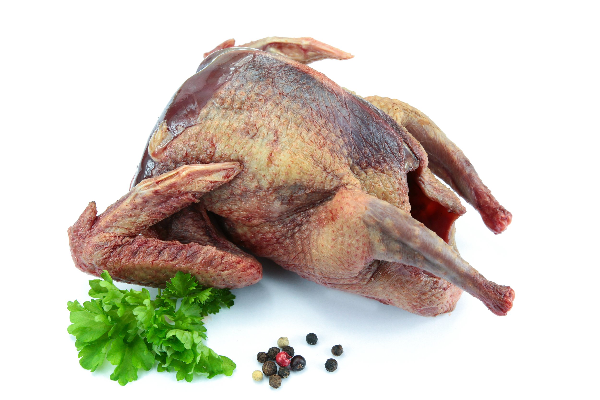 Squab Fresh