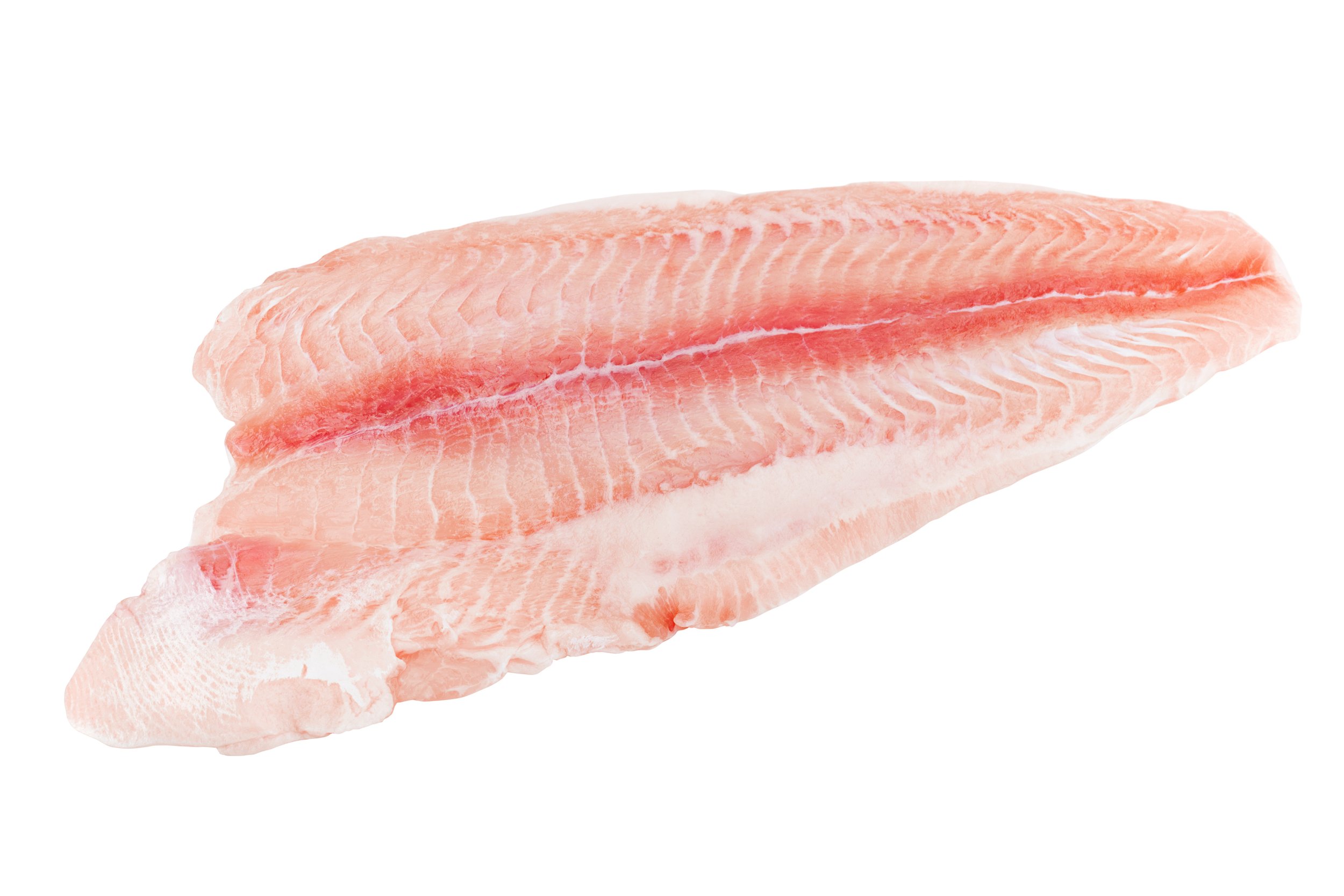 Cat Fish Fillet