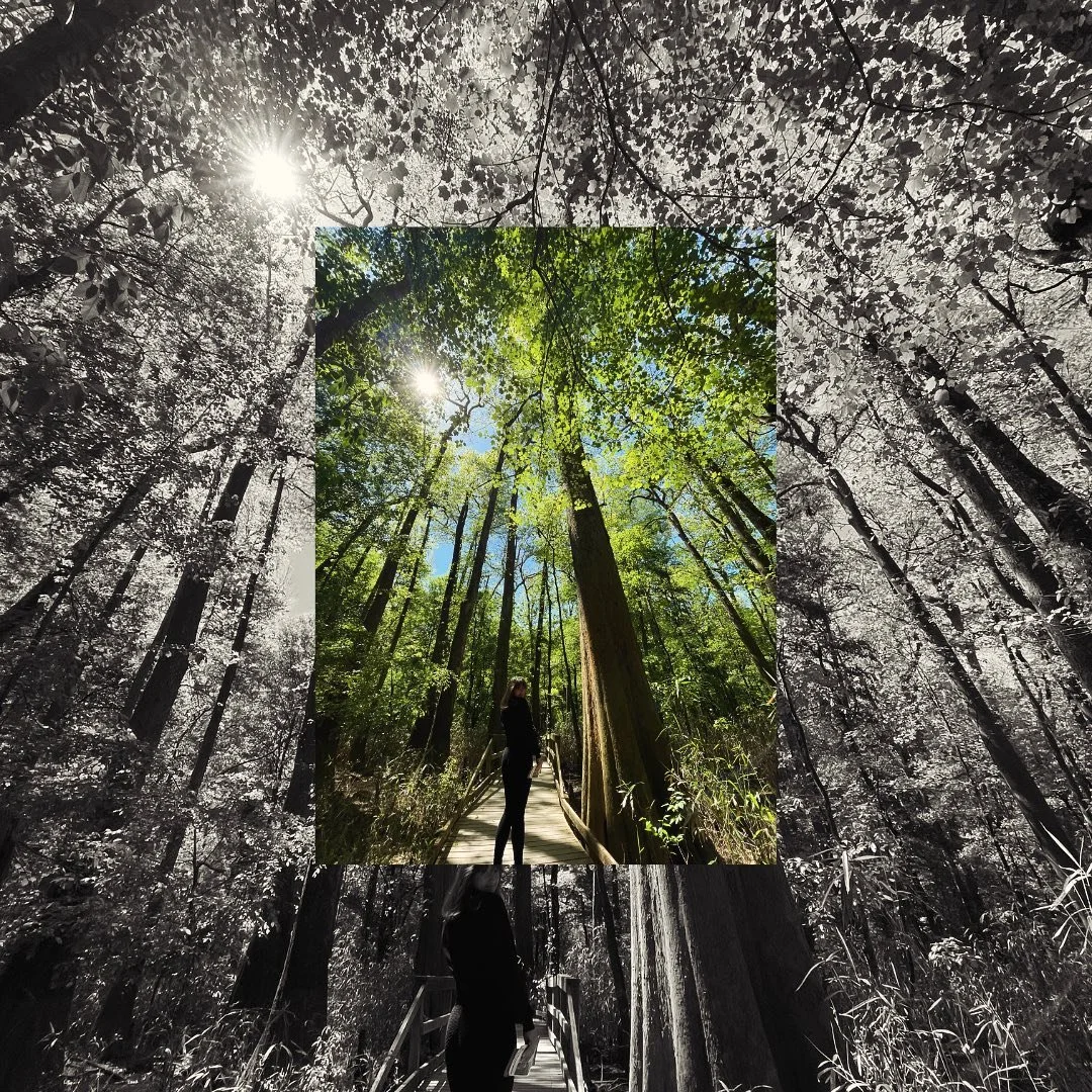 &mdash; crossed another national park of our bucket list. A good Saturday reset. There&rsquo;s something about being in the park and outside that recharges my creative spark. I had my notes app out, jotting down ideas while we hiked the trails. 
-
-
