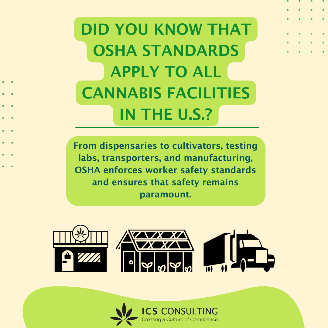 Infographic about OSHA standards applying to cannabis facilities in the U.S., including dispensaries, cultivators, testing labs, transporters, and manufacturers. Icons depict a cannabis shop, greenhouse, and truck. ICS Consulting logo at bottom.