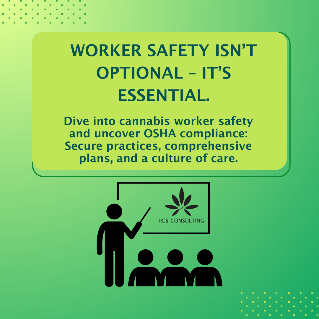 Green infographic about cannabis worker safety and OSHA compliance, featuring a silhouette of a person presenting to an audience with "ICS Consulting" logo and text emphasizing the importance of worker safety.