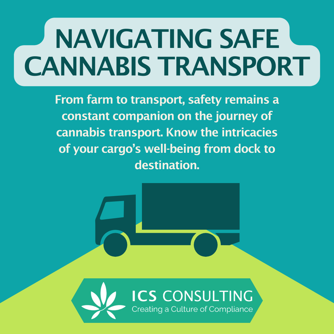 Infographic titled "Navigating Safe Cannabis Transport" featuring a stylized truck and cannabis leaf logo. Text highlights the importance of safety in cannabis transportation. Includes ICS Consulting logo.