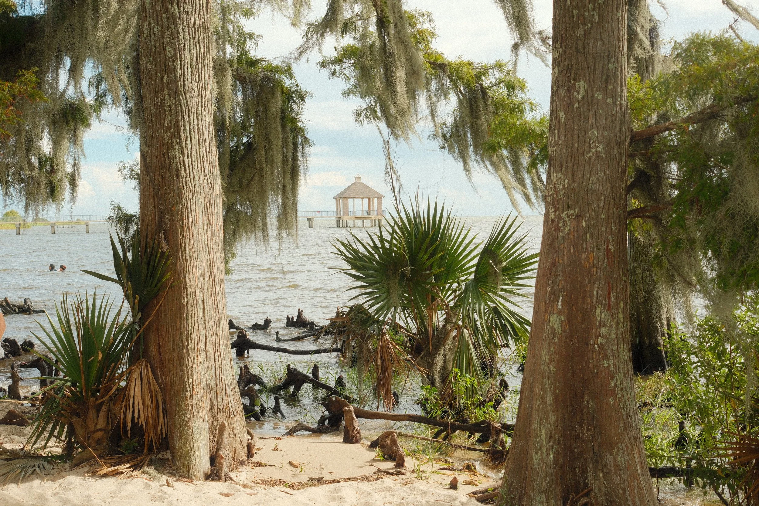 The Northshore