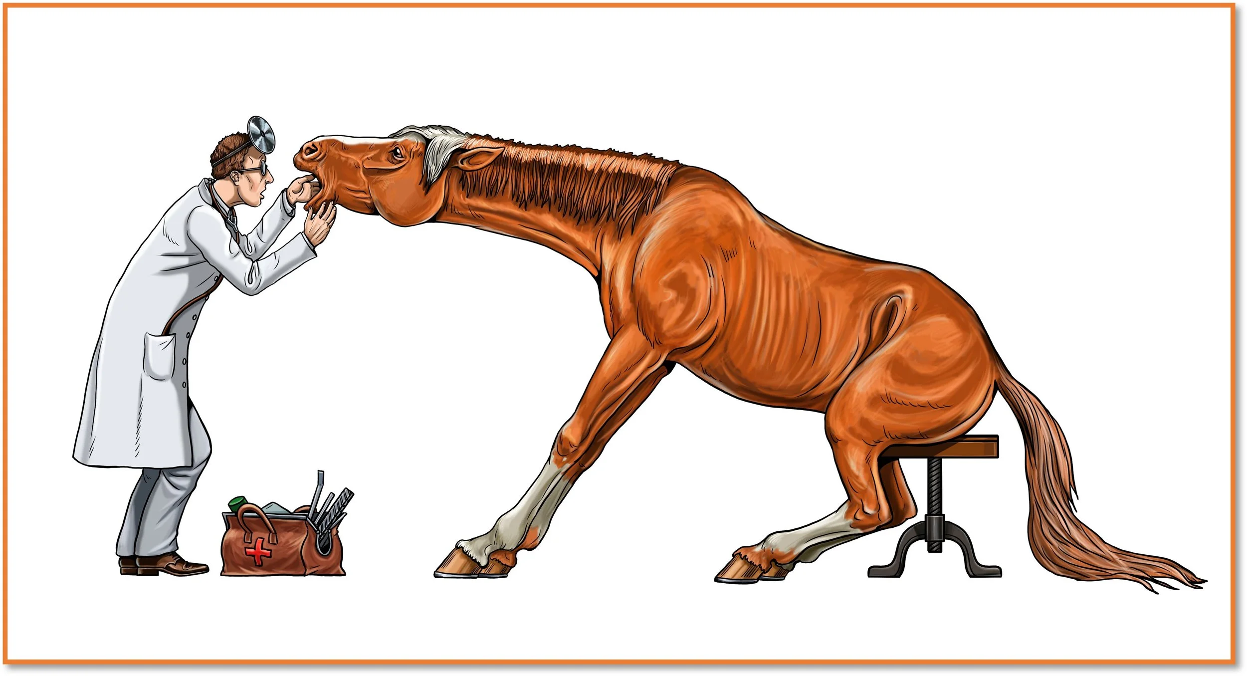 Fall Equine Wellness CLinic