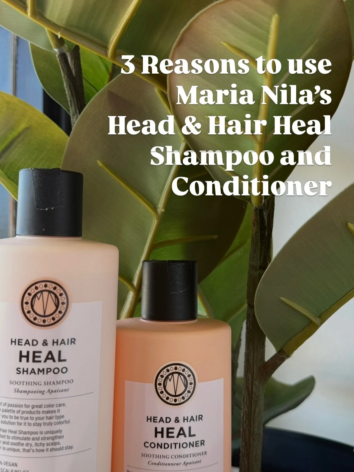 🌿 Healthy hair starts at the scalp. 🌿

If you&rsquo;re dealing with dryness, flakes, irritation, or just want to create the best environment for healthy hair growth, Maria Nila&rsquo;s Head &amp; Hair Heal Shampoo and Conditioner are salon favorite