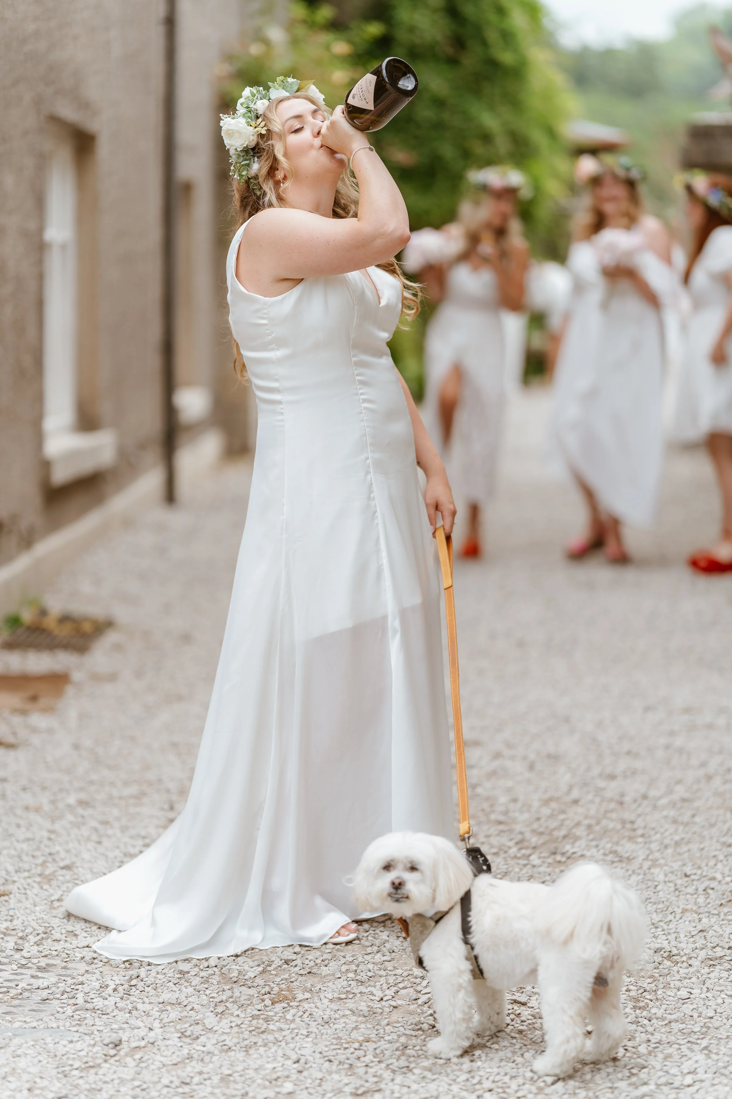 Wedding & Pets Photography