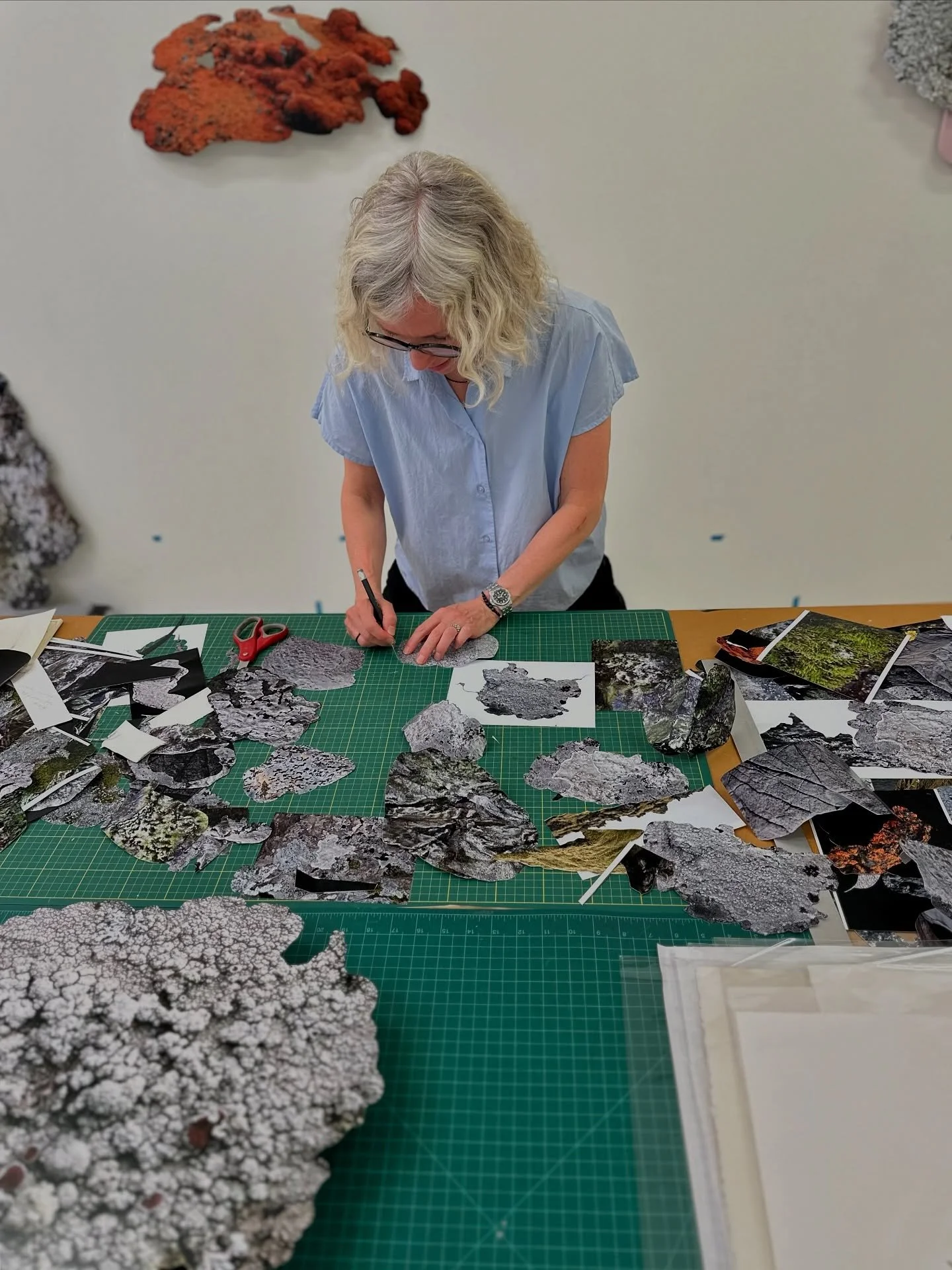 What a treat to meet with @feidisbrow in her studio to discuss her latest body of work, one that is deeply rooted in her recent residencies and field explorations – drawing together the wild, quietly tenacious world of lichens, mosses, and othe