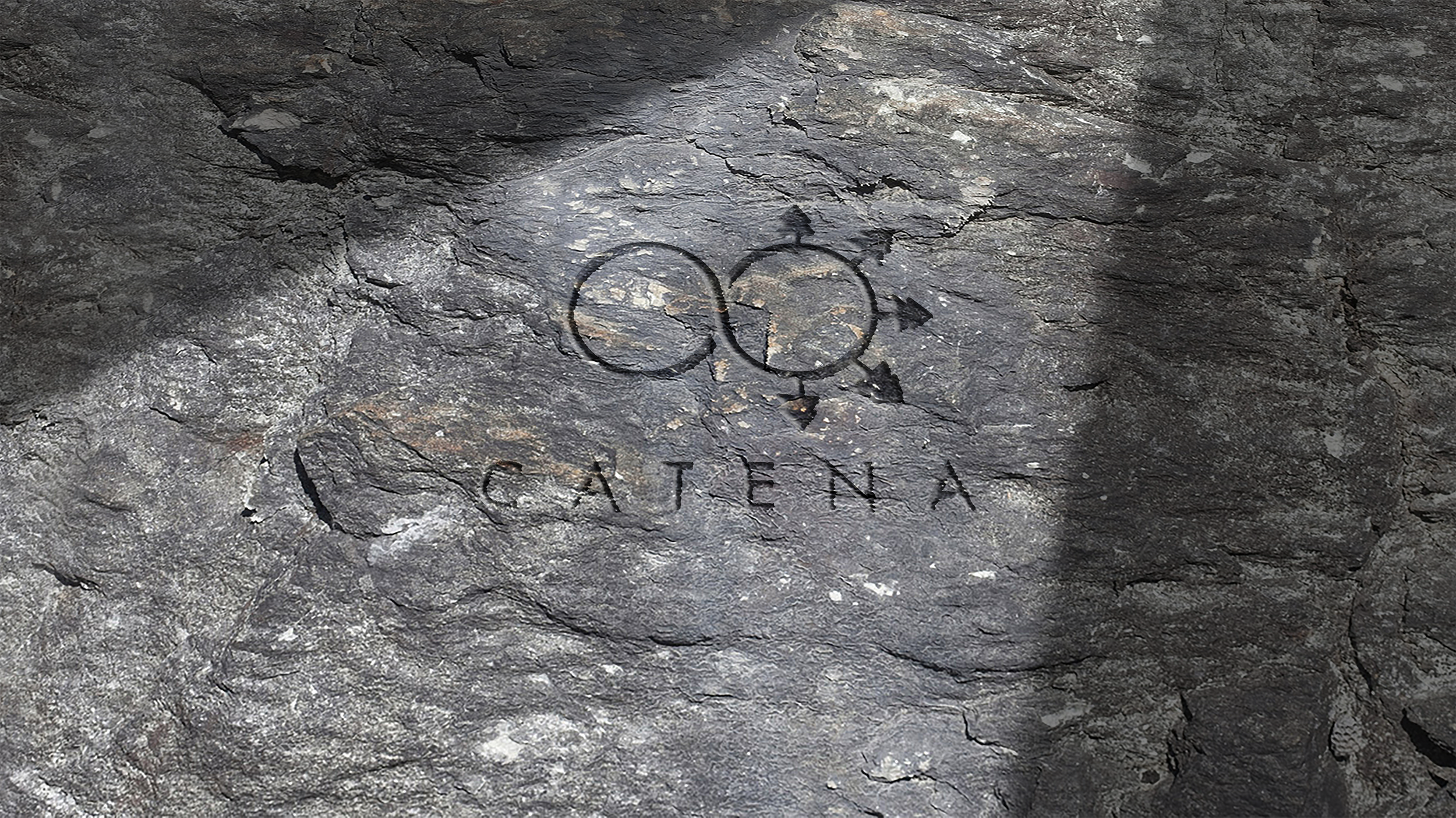 Catena Logo Promotional Material