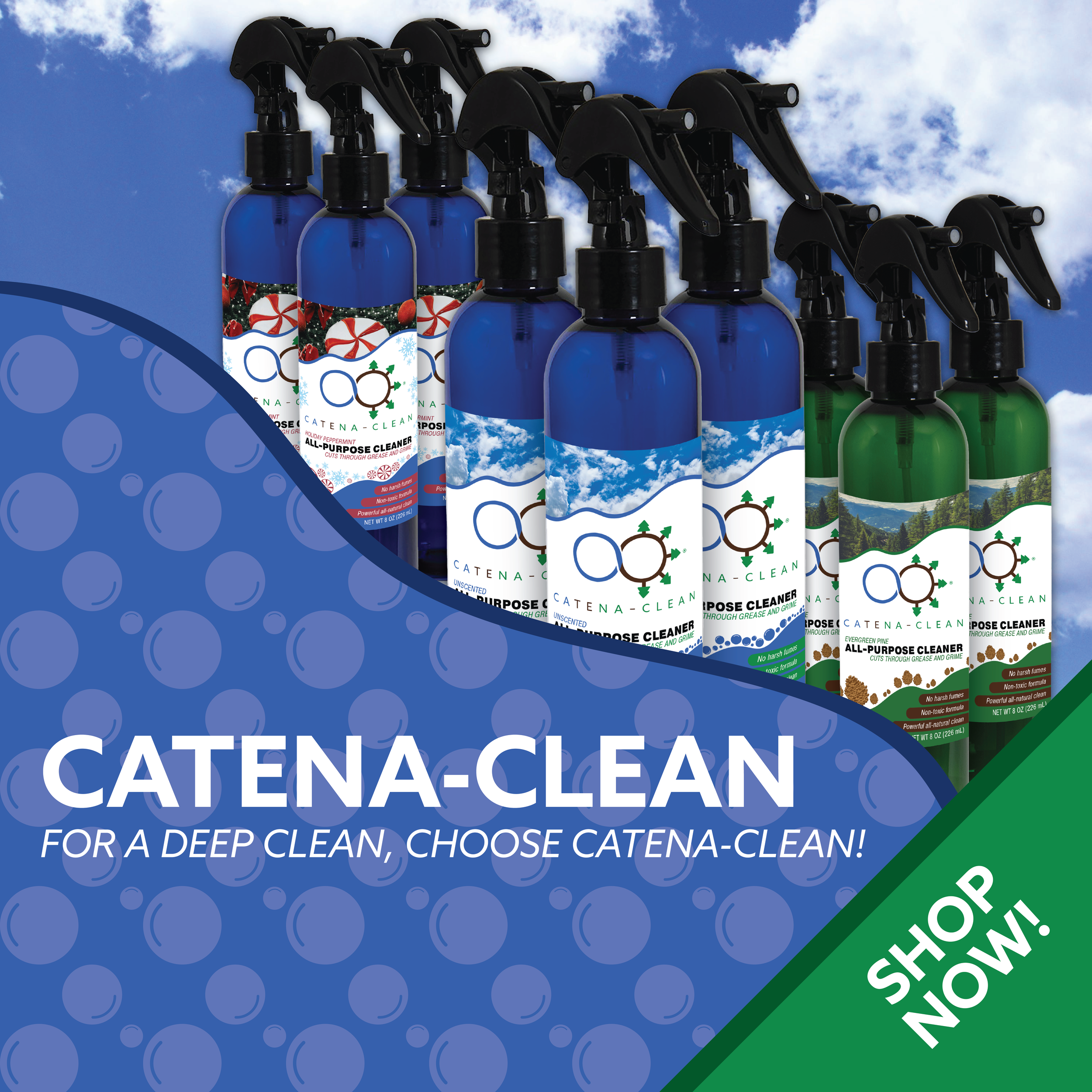 Catena Internship Work