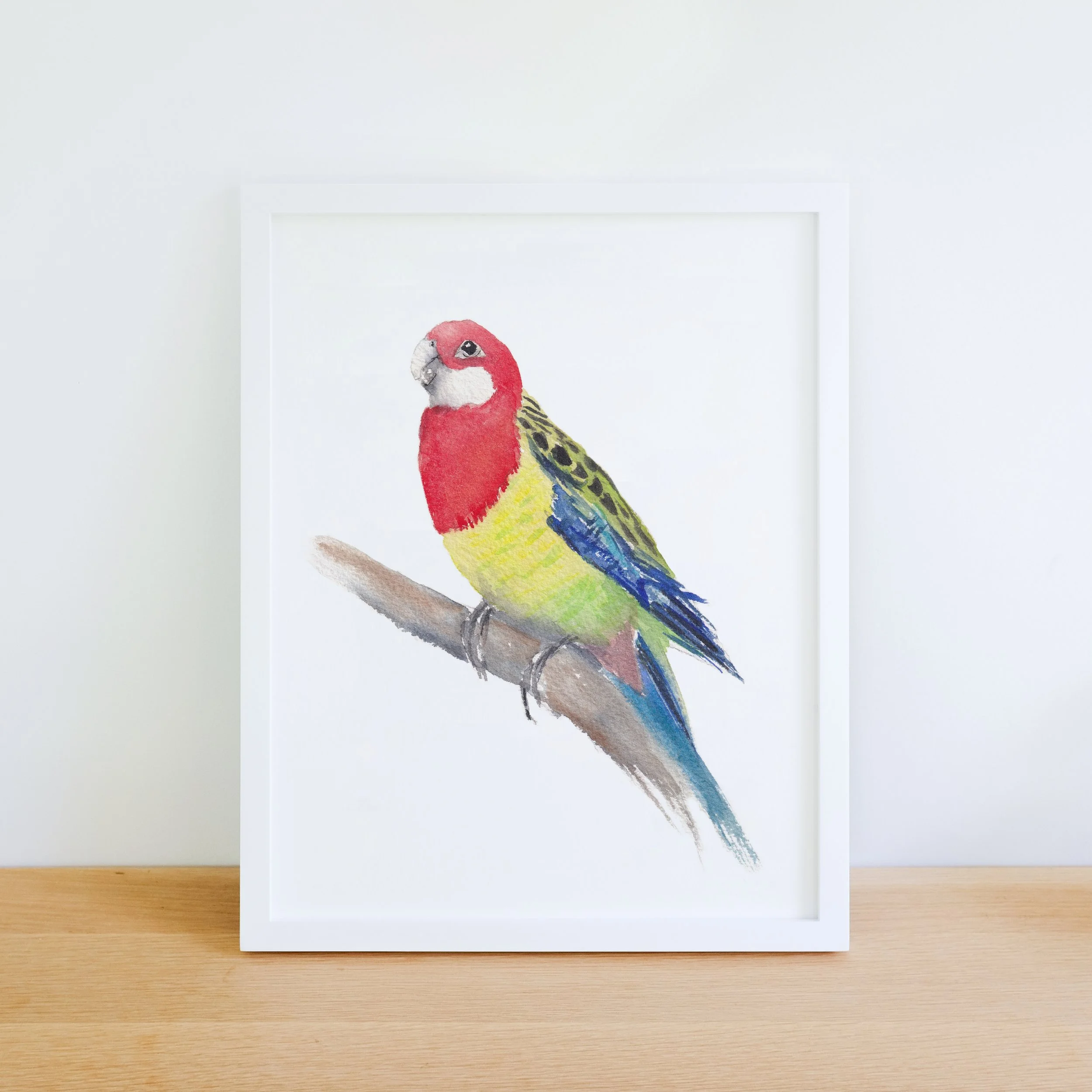 Quokkas_Corner_Eastern_Rosella_Framed.jpg