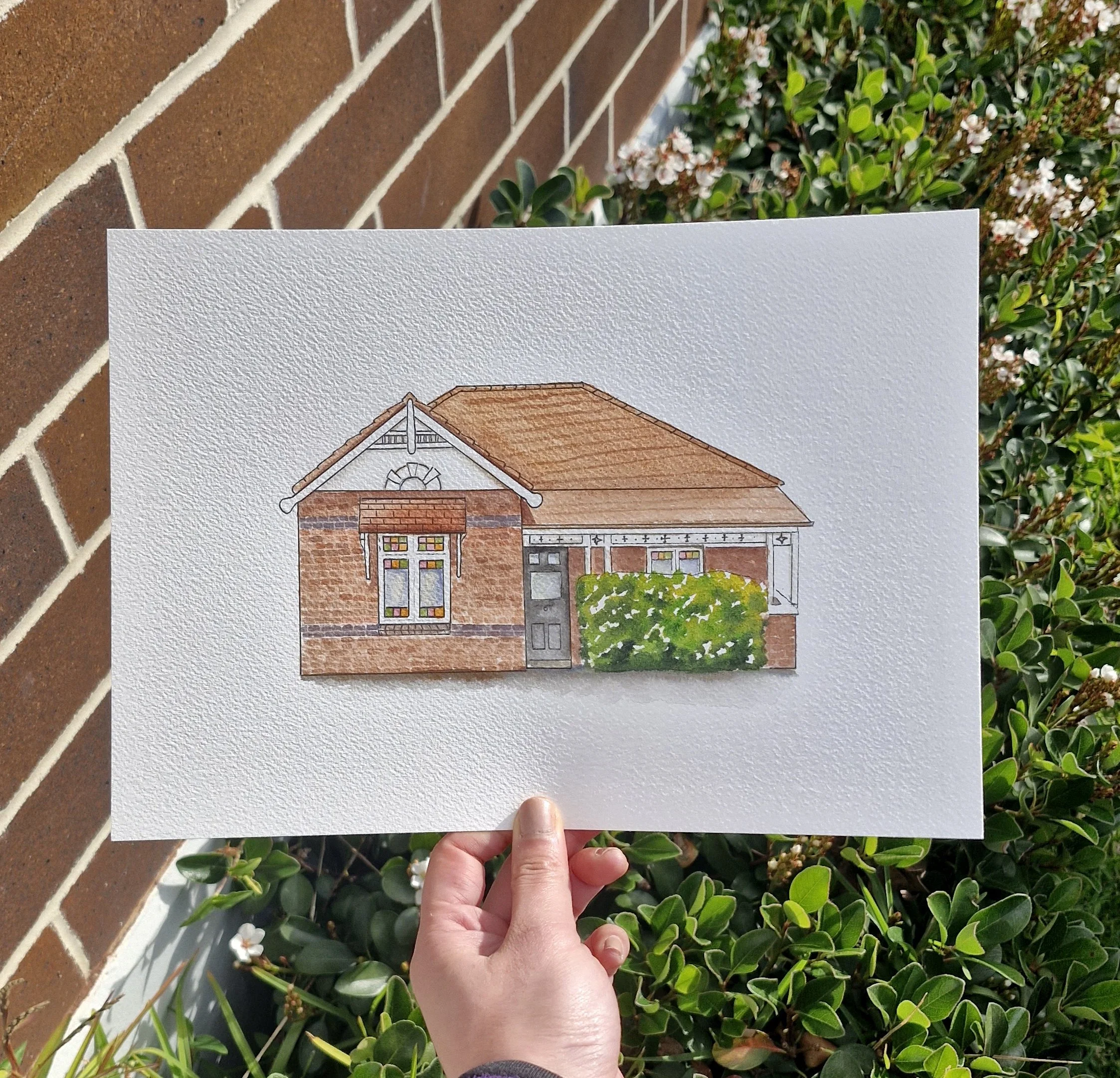 Spotlight:  Australian Federation Homes