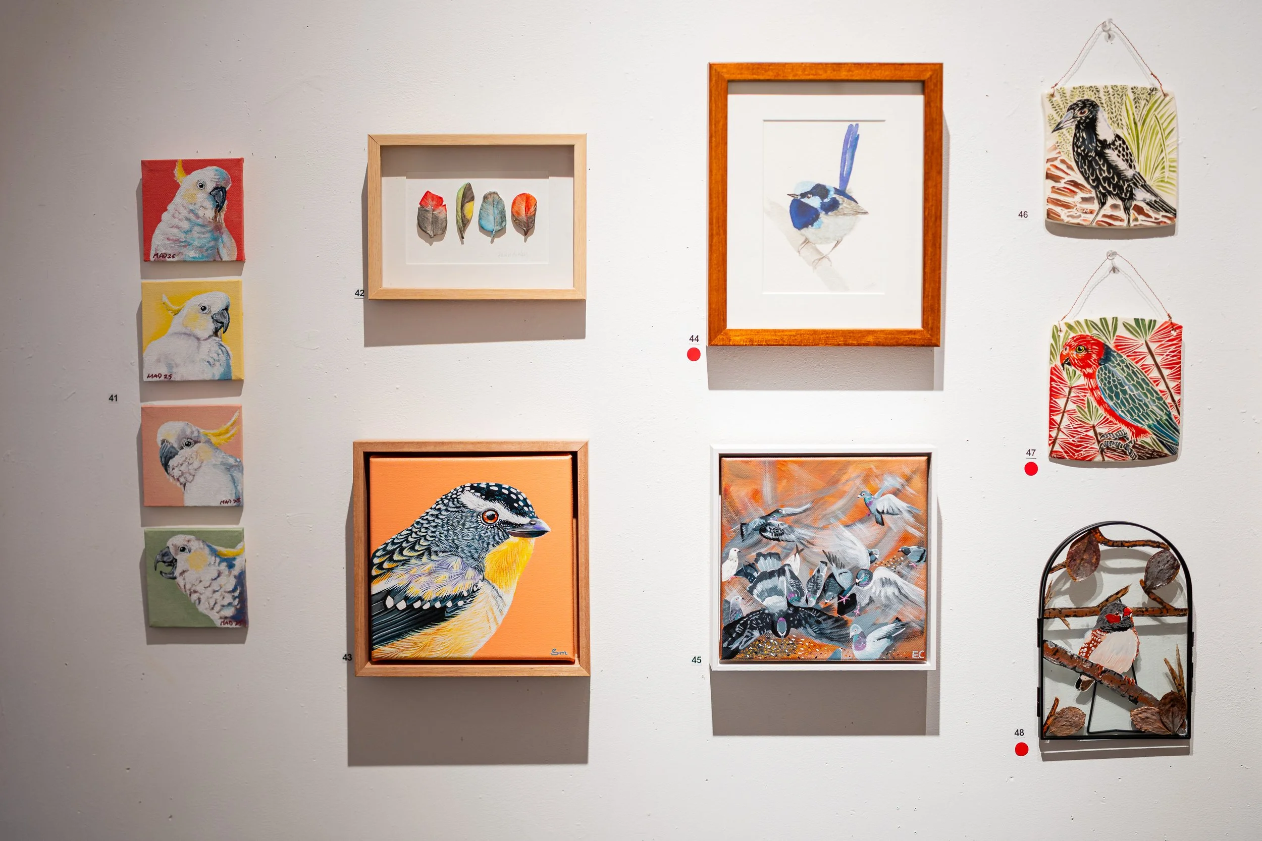 Bird Week Exhibition 2025