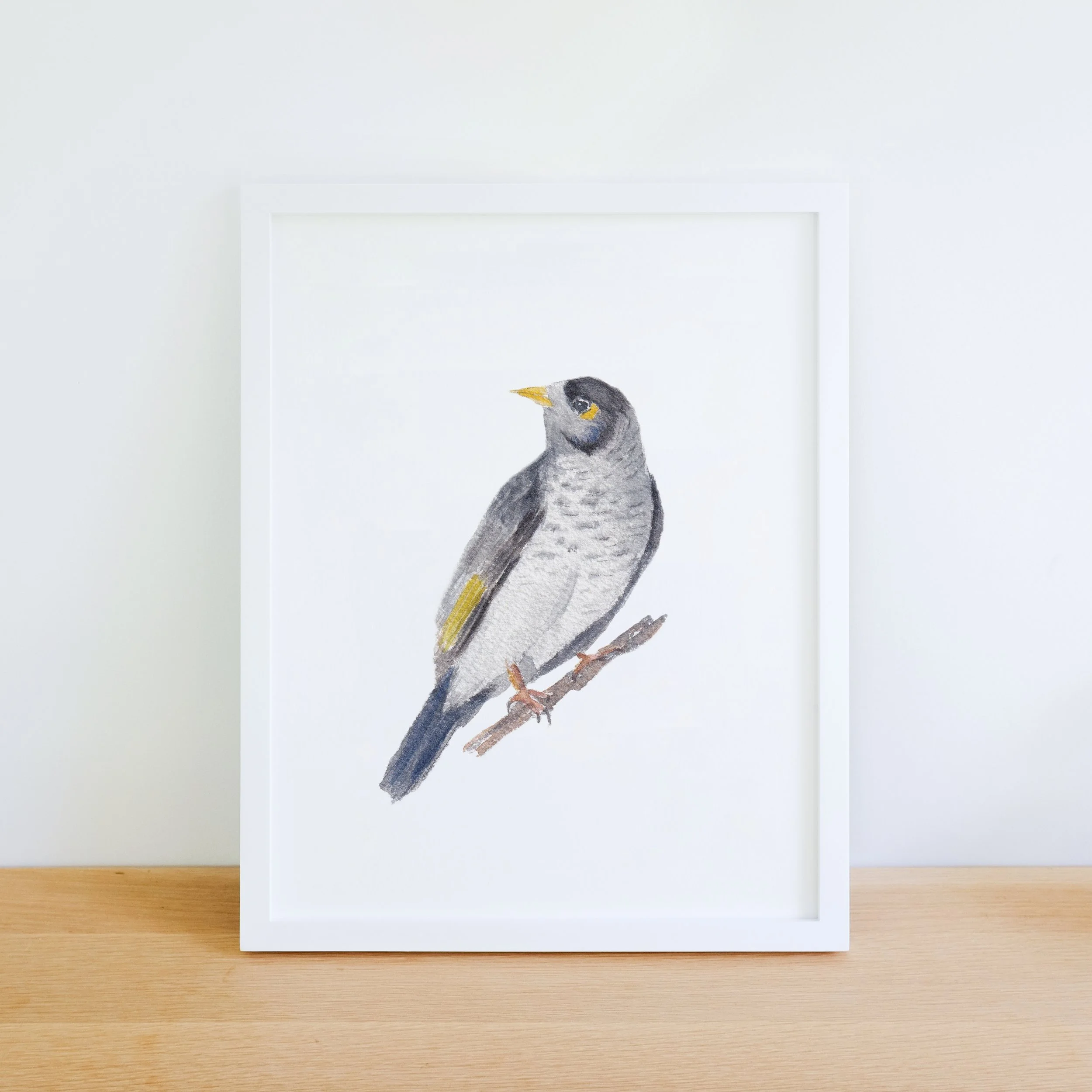 Australian Noisy Miner - Watercolour Fine Art Print