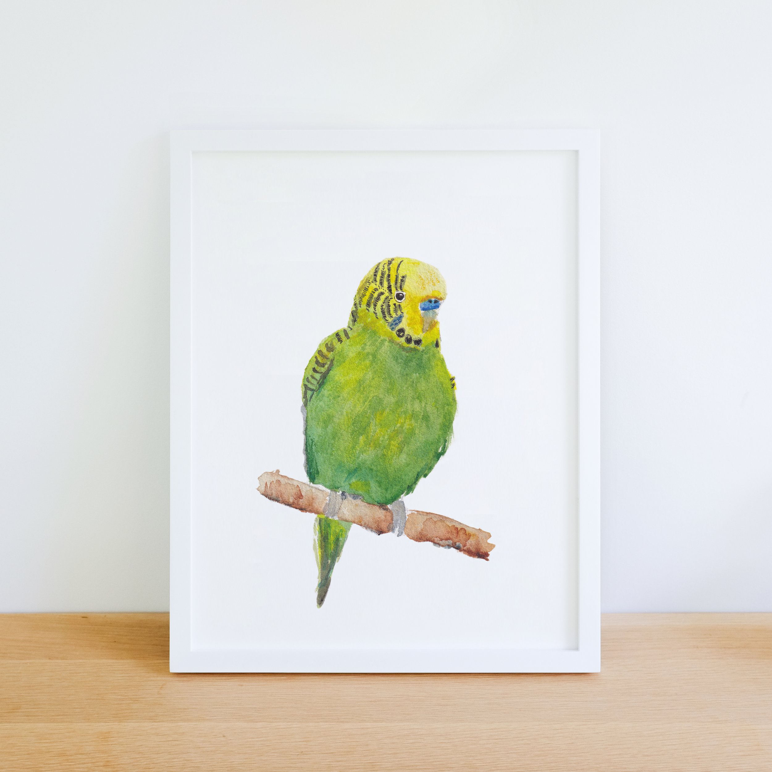Quokkas_Corner_Budgie_Framed_New.jpg