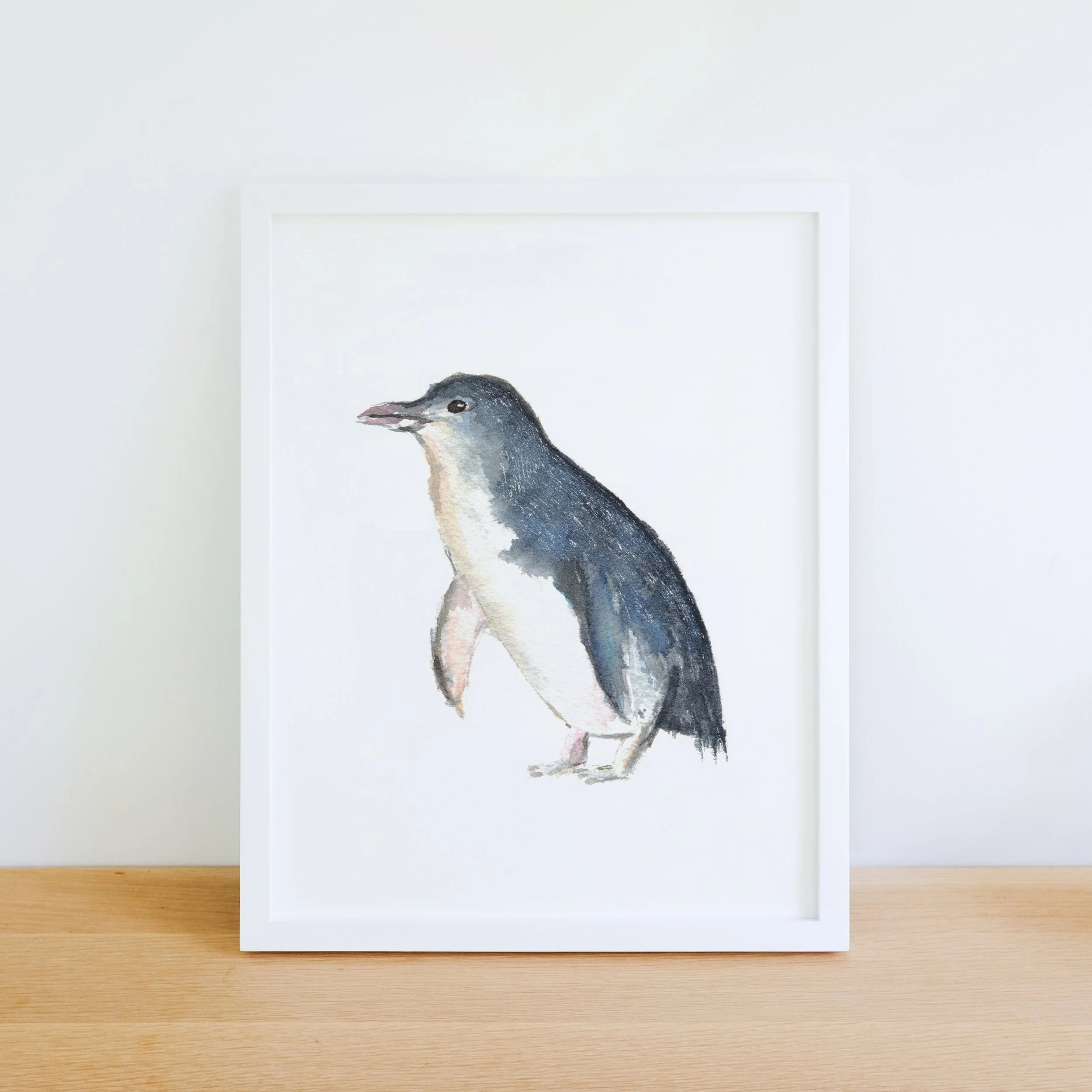 Quokkas_Corner_Fairy Penguin.jpg