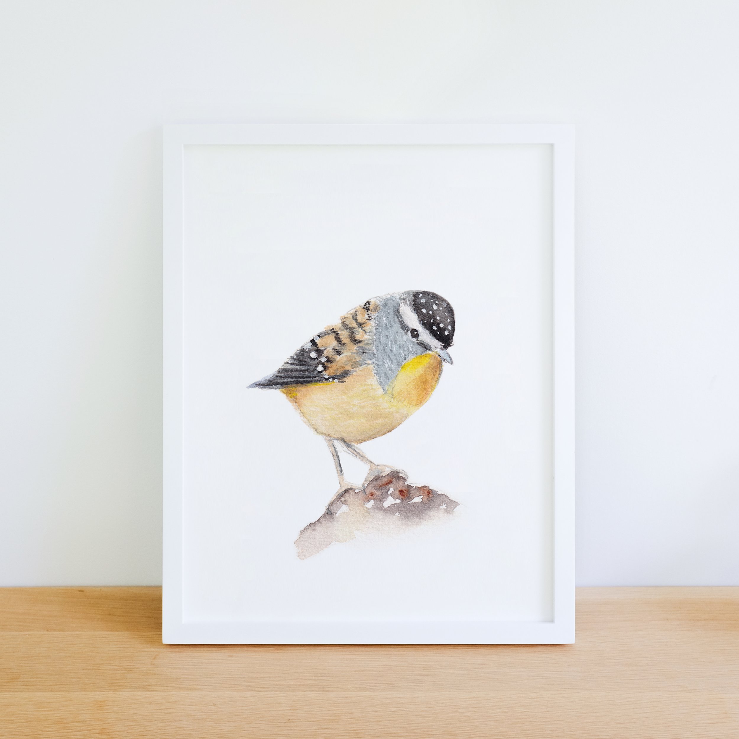 Quokkas_Corner_Spotted_Pardalote_Framed.jpg