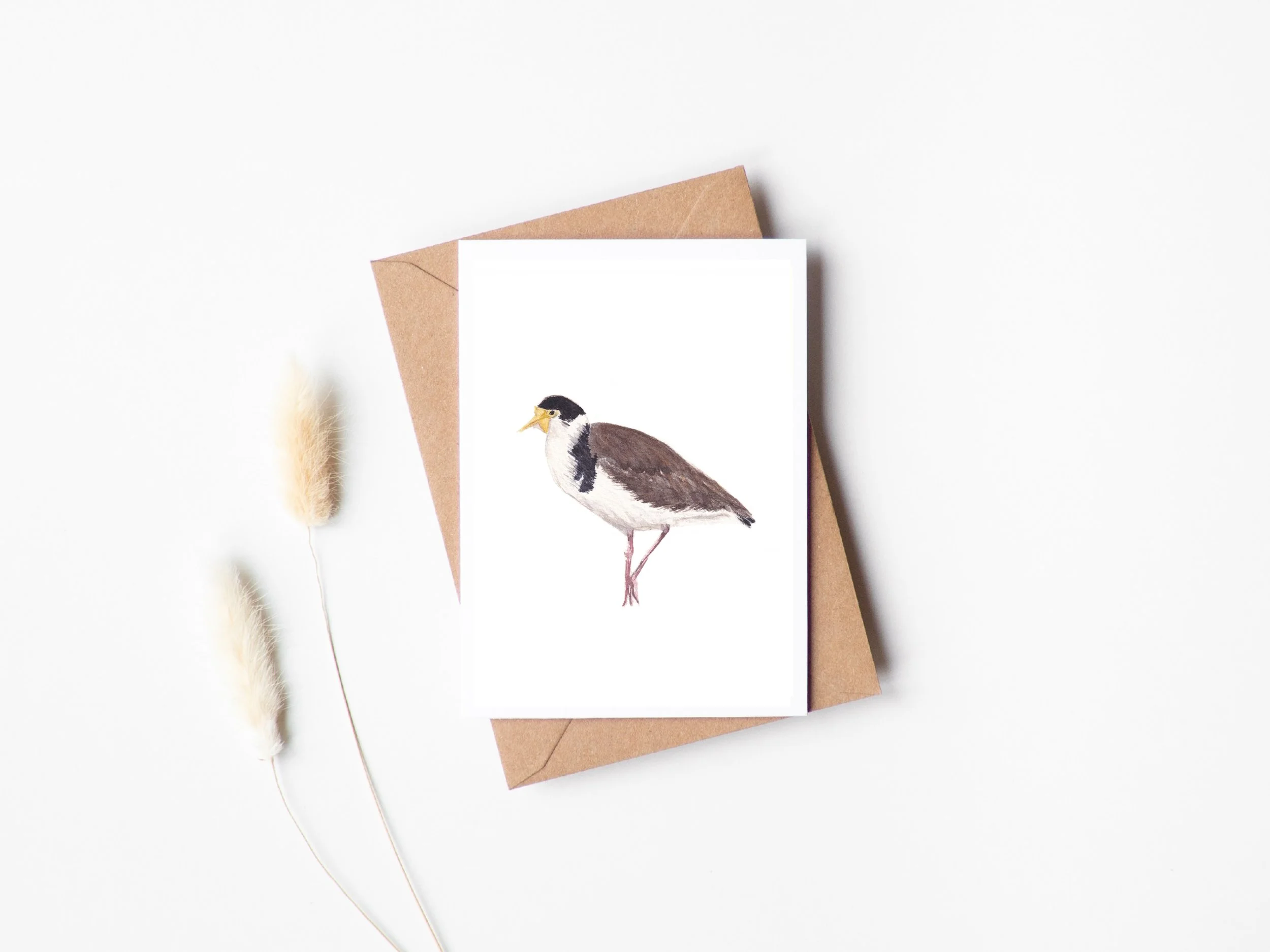 Quokkas_Corner_Masked Lapwing Card.jpg