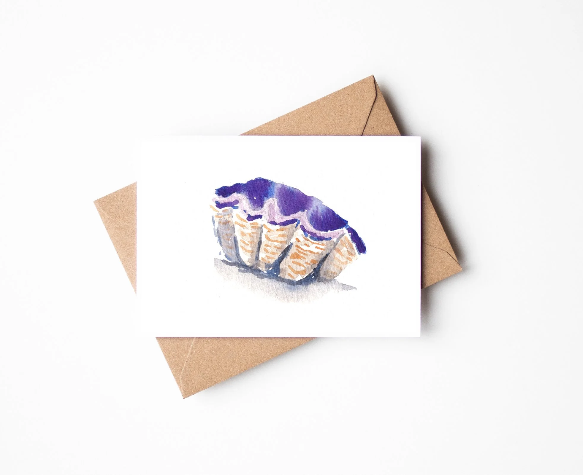 Quokkas_Corner_Giant Clam_Website.jpg