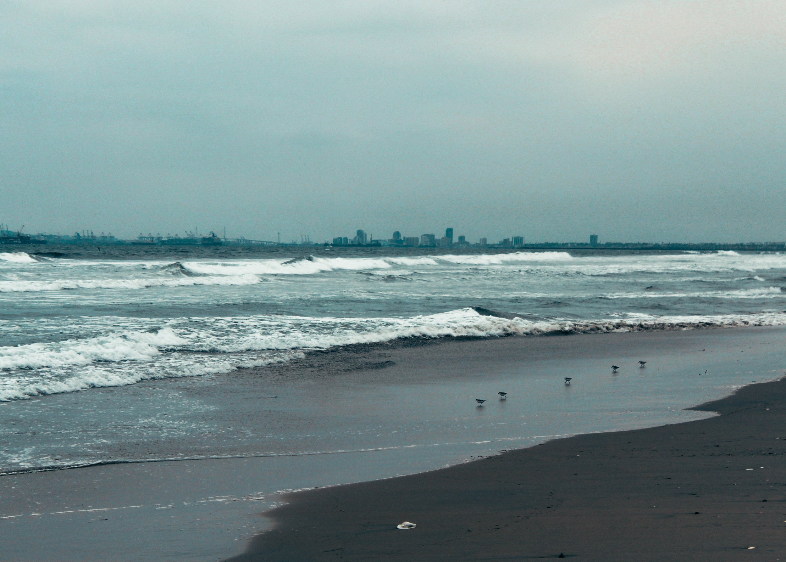 "De Diepte", Bolsa Chica
Print Sizes Available: 4X6, 5X7
Quantity: 3, 4
