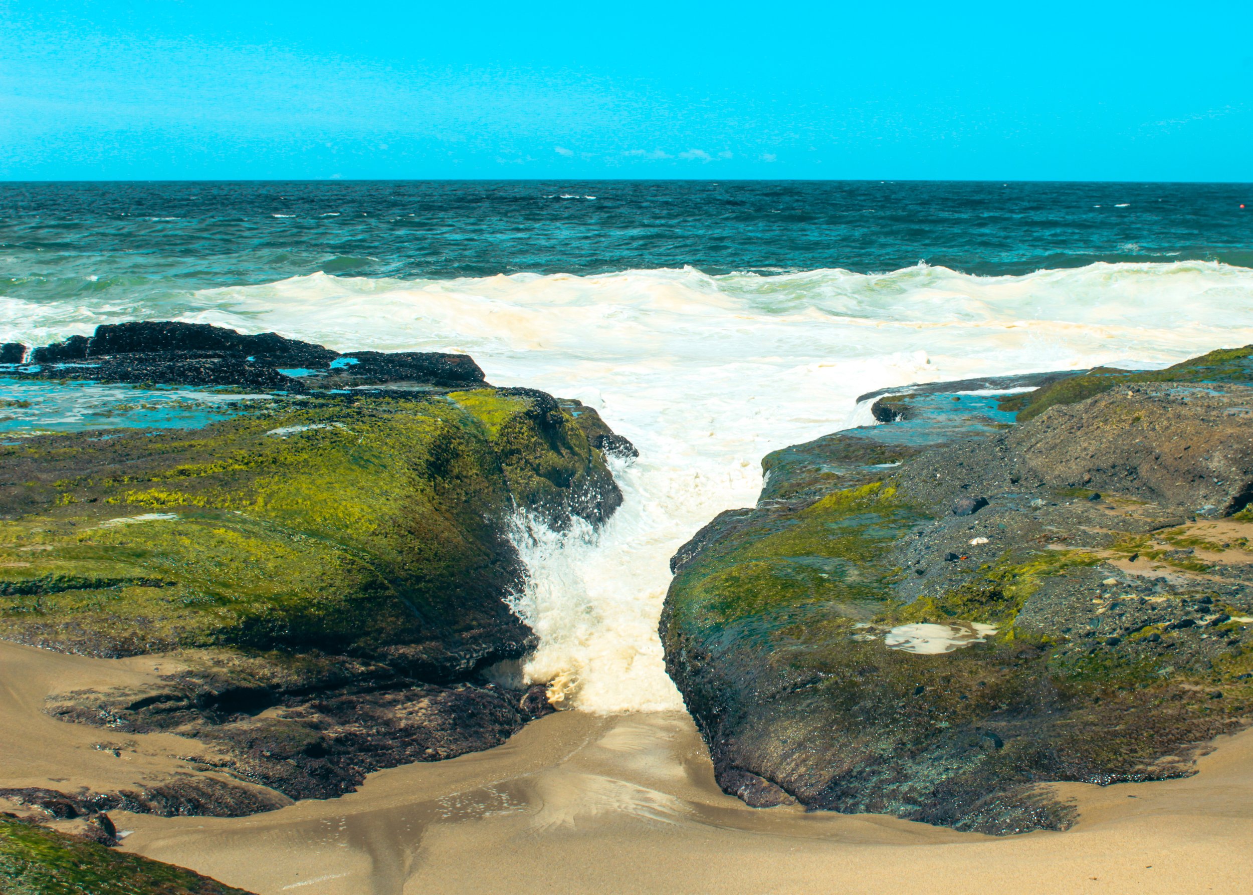 "In-between Algae", Laguna Beach
Print Sizes Available: 5X7, 8X12
Quantity: 1, 1 Framed
