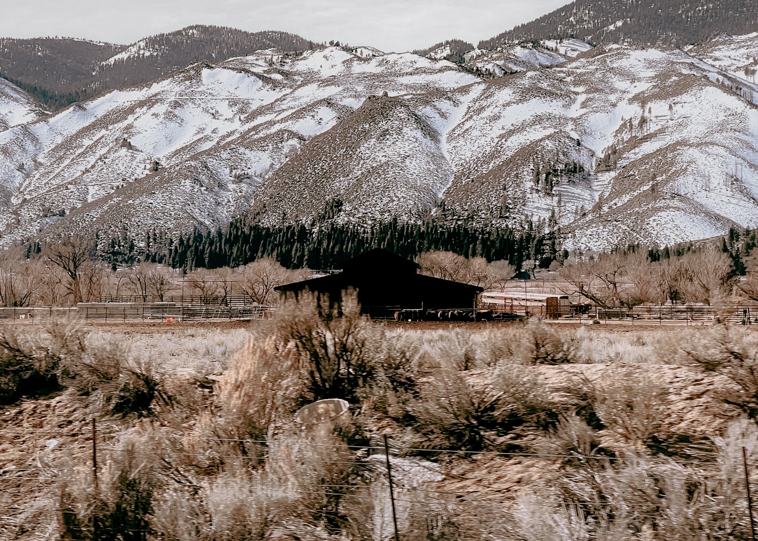 "Reno Recluse"
Print Sizes Available: 4x6, 5X7, 8x12, 18x24
Quantity: 2, 2, 1 Framed, 1 Framed