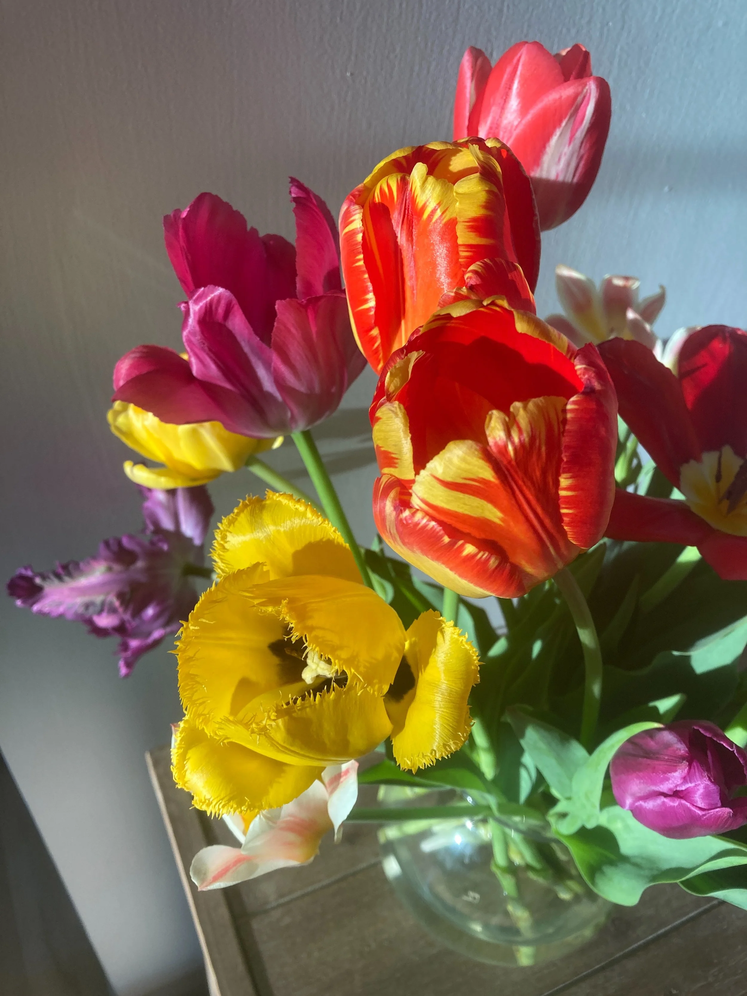 Not a wedding flowers post, but as a flower lover I just couldn&rsquo;t resist sharing my tulips&mdash;happy and beautiful in the sunshine. Spring is such a gorgeous time of year to get married!
