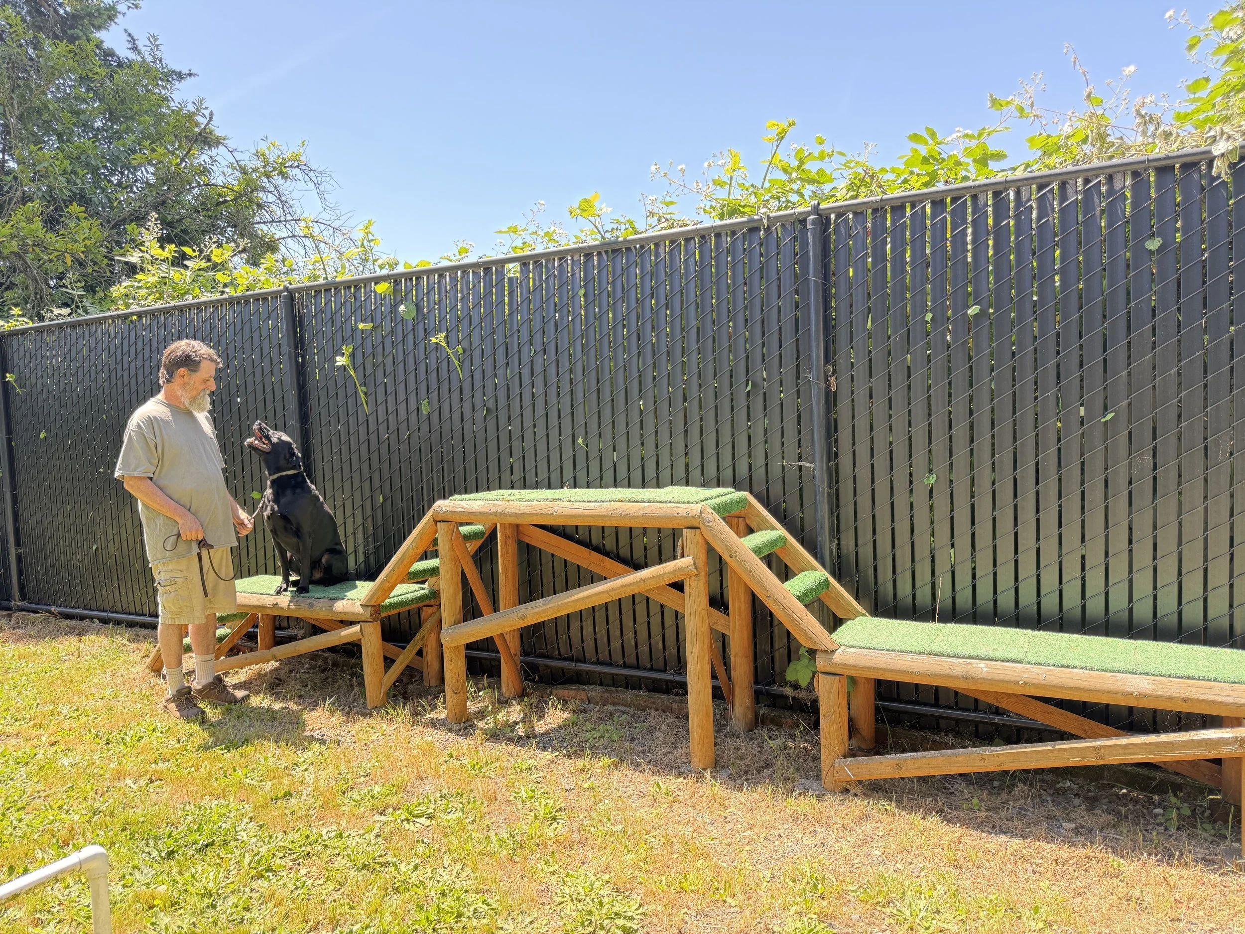 Why Summer Is the Best Time to Train Your Dog in Portland
