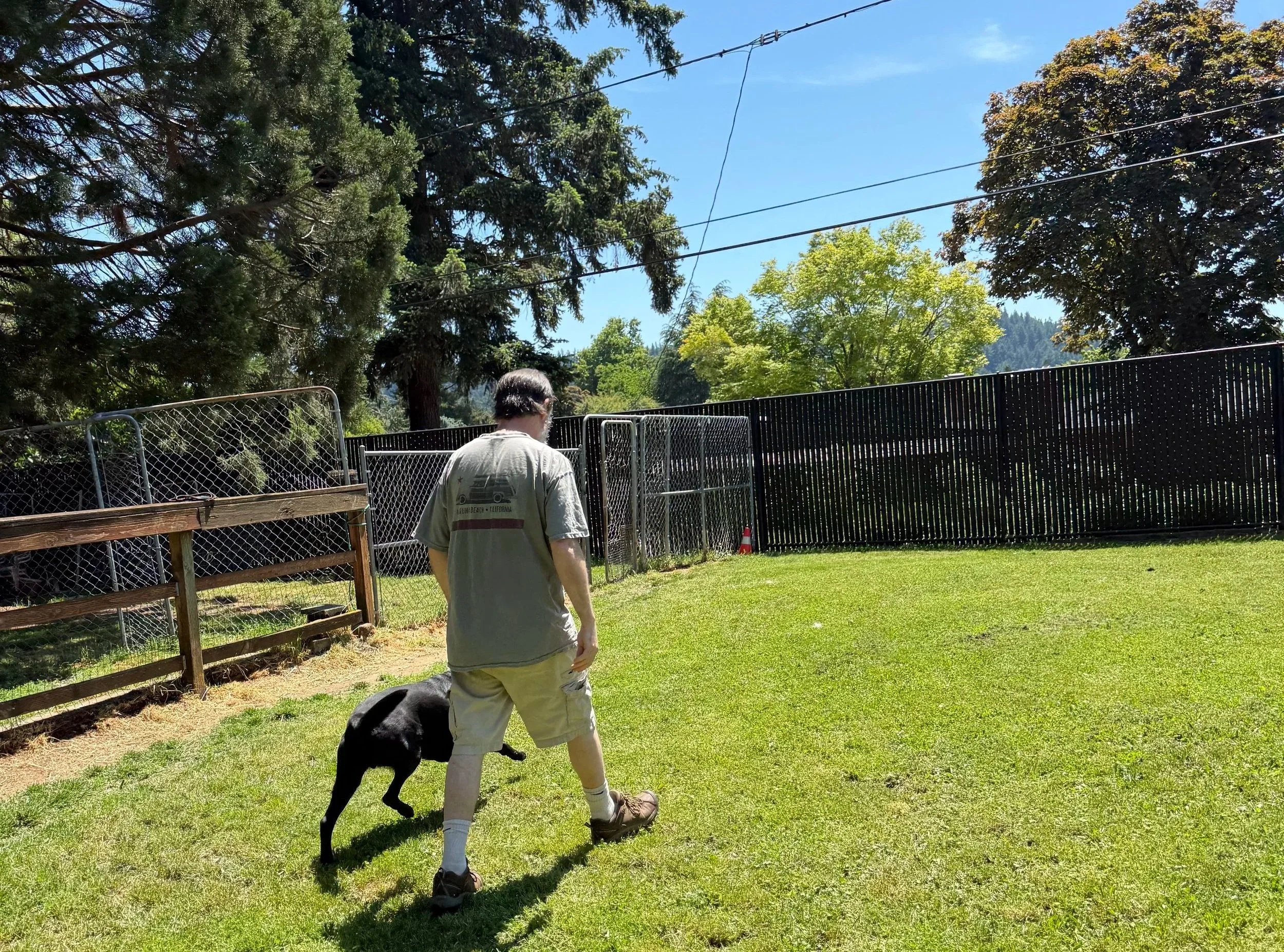 Why Your Dog Pulls on the Leash — and How to Actually Fix It