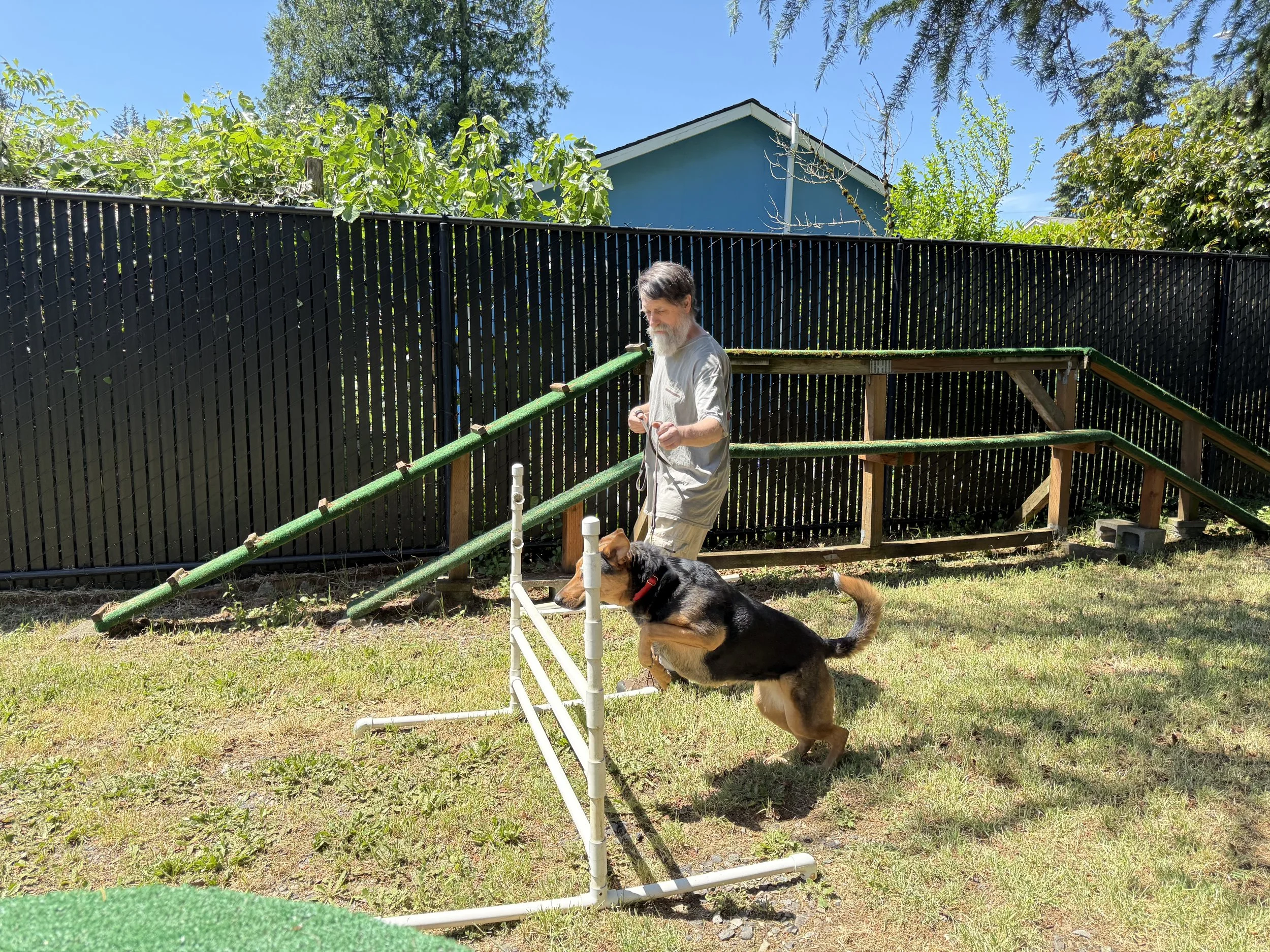 Dog trainer and a german shepherd dog are near a small white agility jump and a green ramp. The trainer is directing the dog to jump, and the dog listens to his instructions.