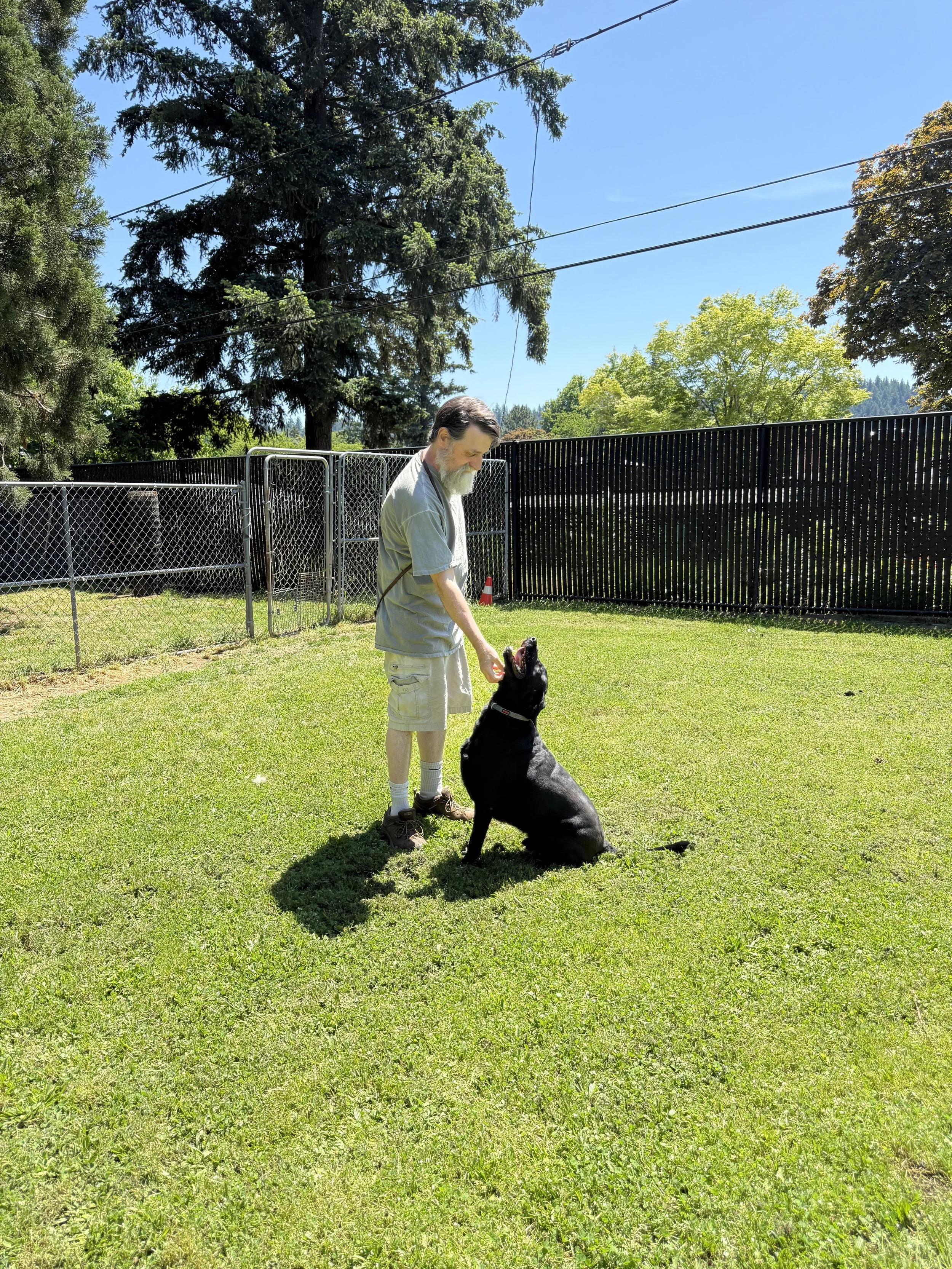 Paul rewarding the dog with some affection after a successful training session